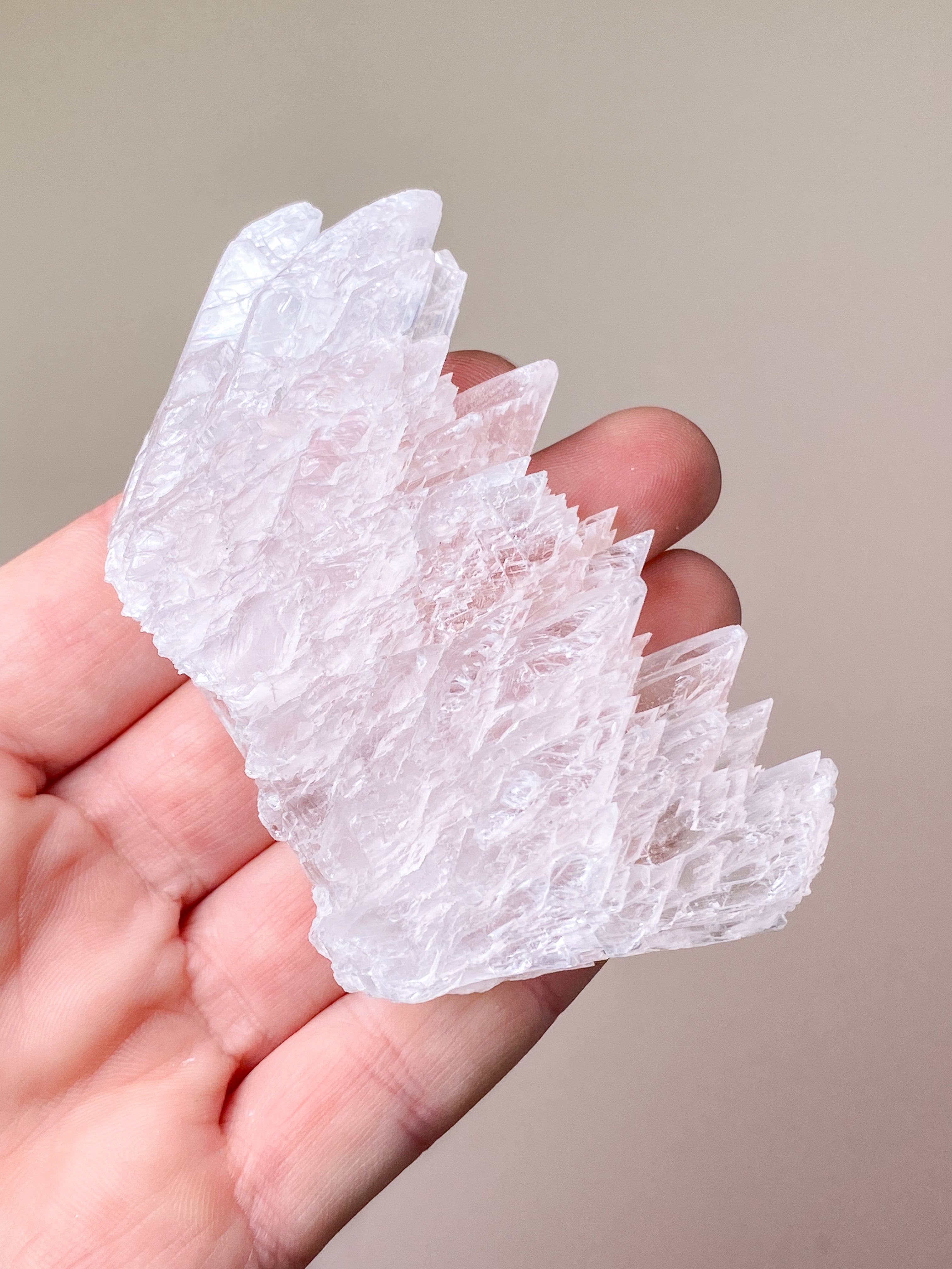 Fiskstjärt/Ängelvinge Selenit (nr 6) Exklusiv kvalitet