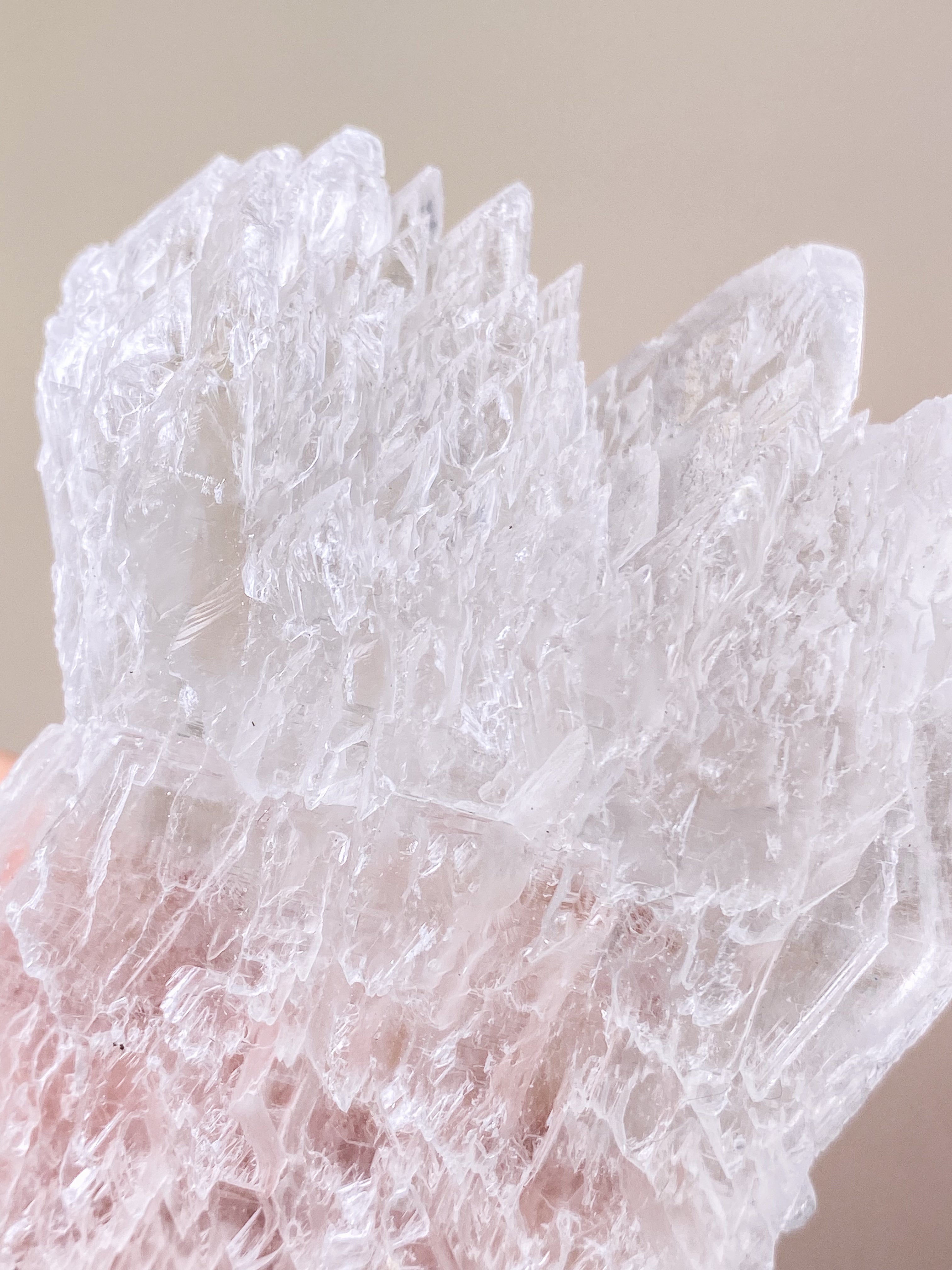 Fiskstjärt/Ängelvinge Selenit (nr 6) Exklusiv kvalitet