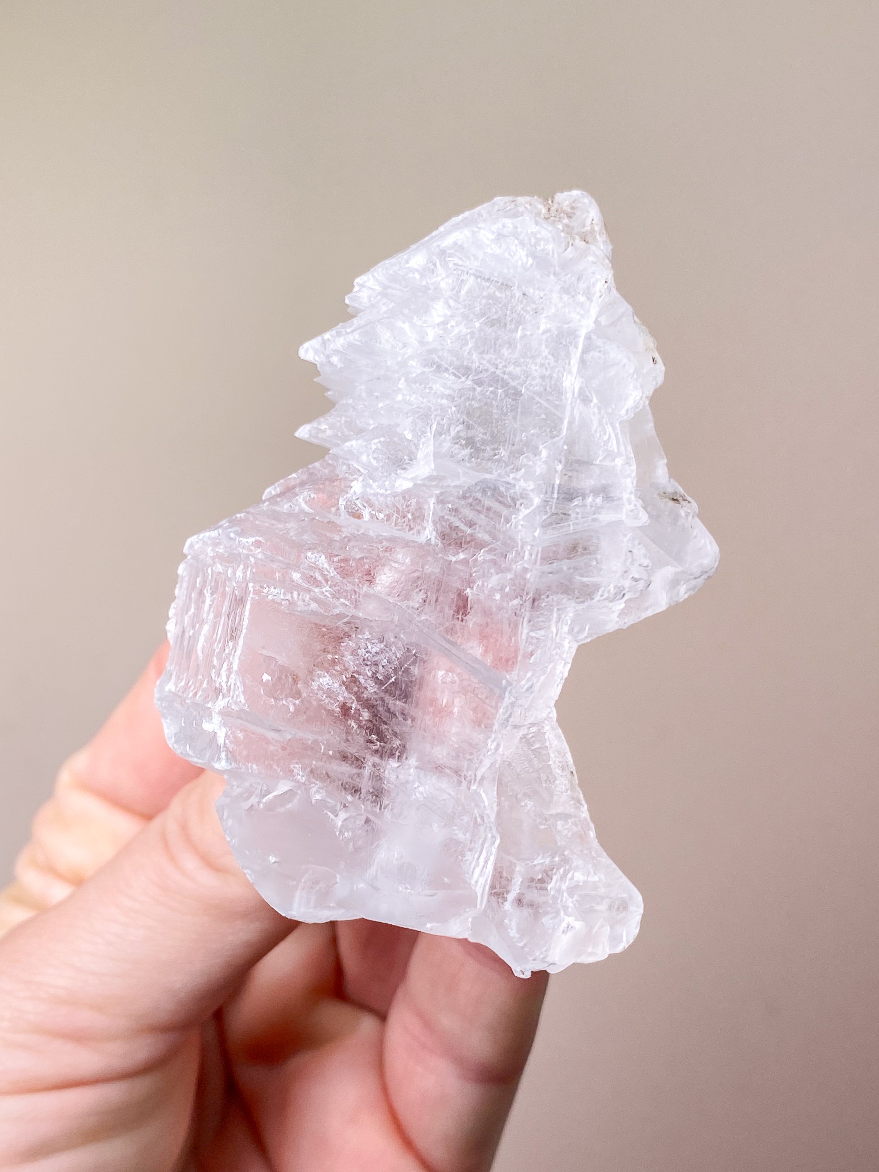 Fiskstjärt/Ängelvinge Selenit (nr 6) Exklusiv kvalitet