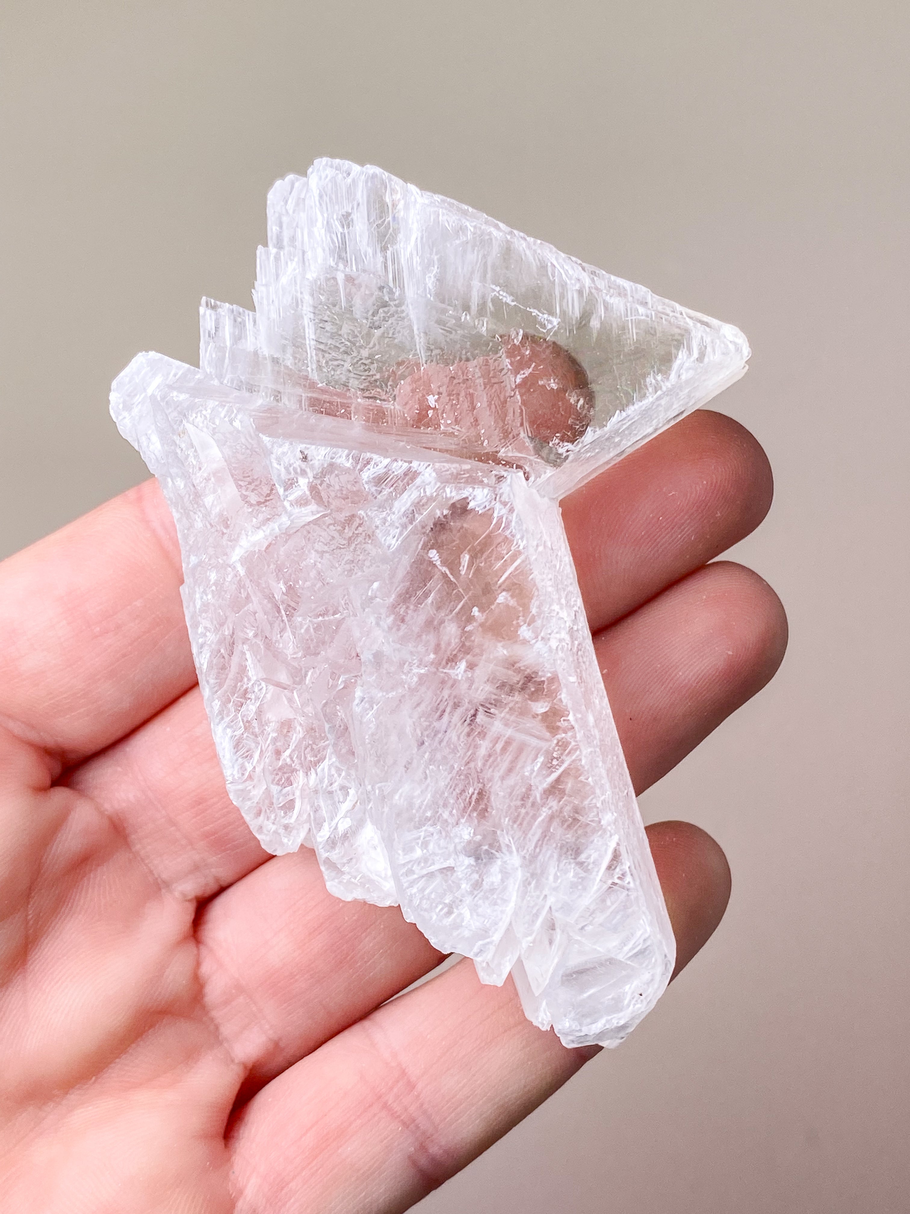 Fiskstjärt/Ängelvinge Selenit (nr 6) Exklusiv kvalitet