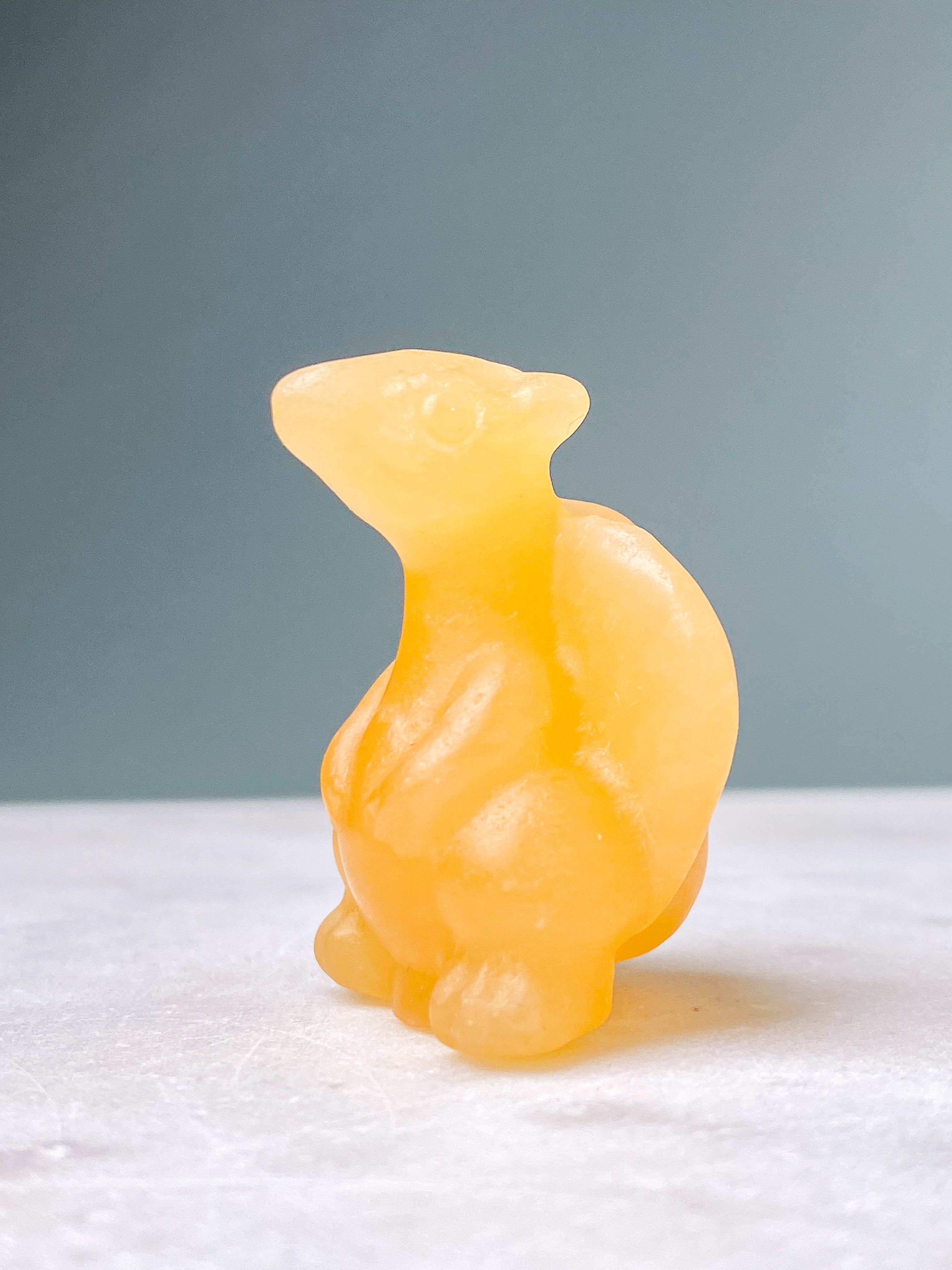 Orange kalcitpumpa med band