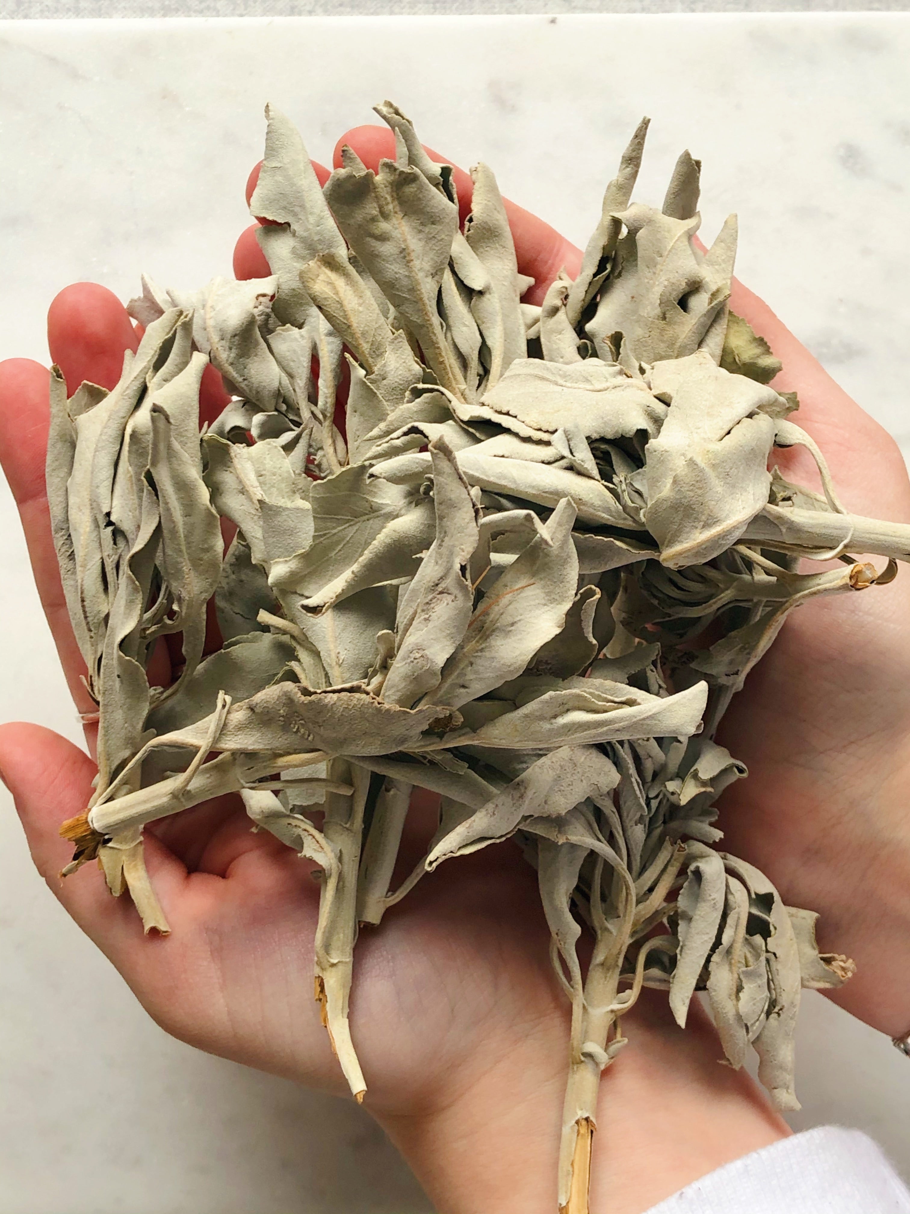 Lös Vit Sage (28g) Premium Quality