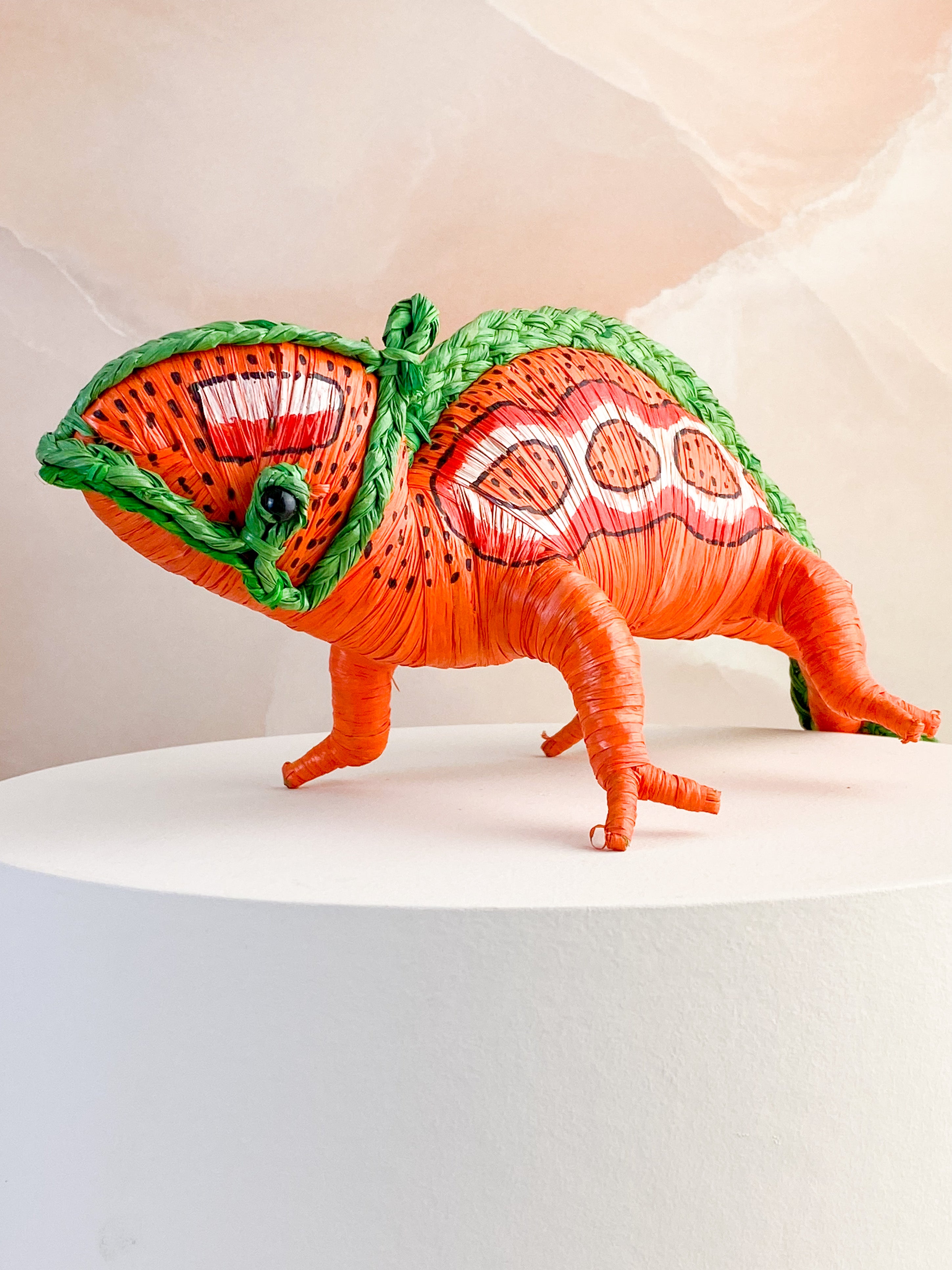 Hand -tråkig kameleon från Madagaskar