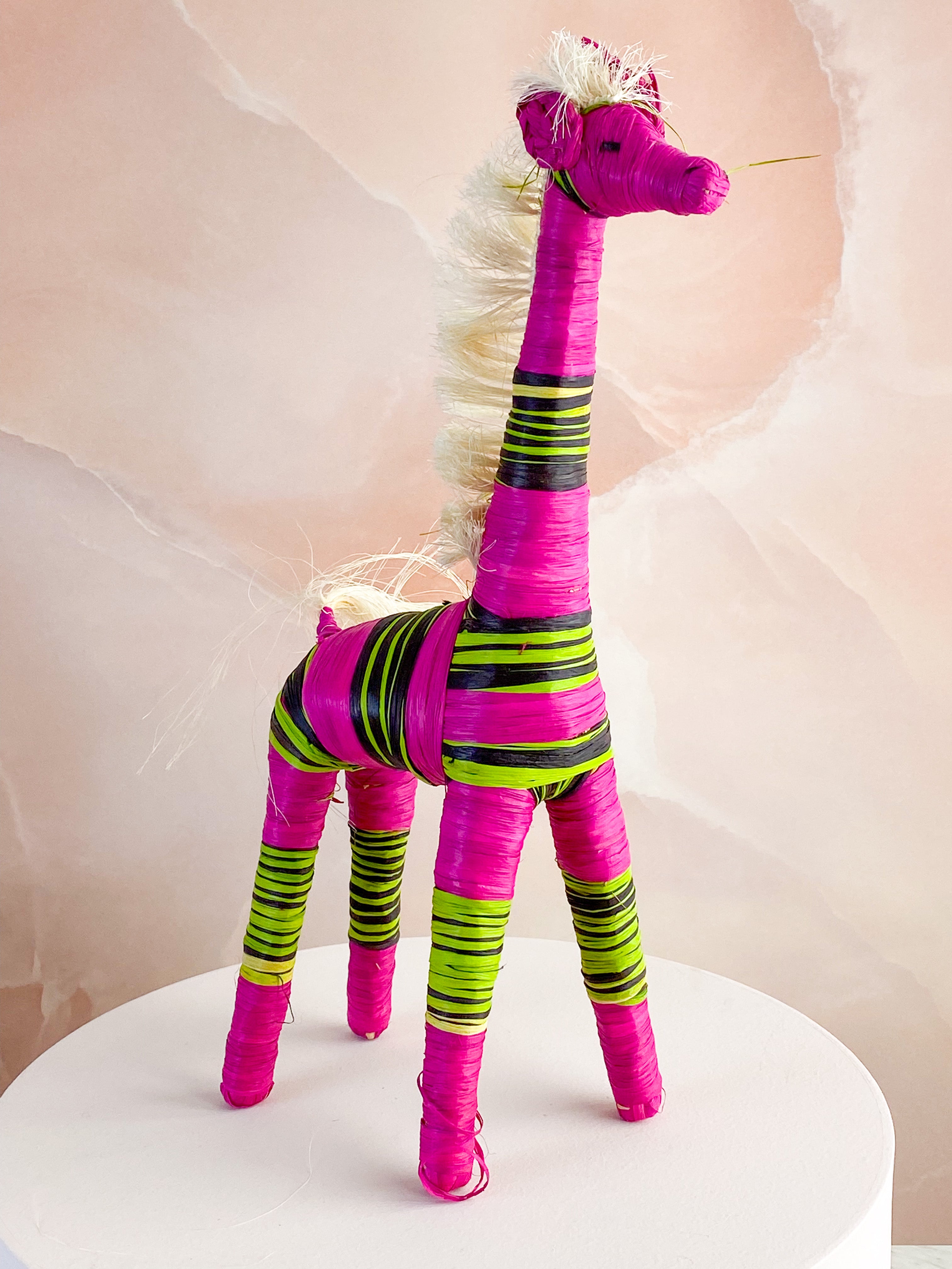 Hand -tråkig giraff från Madagaskar