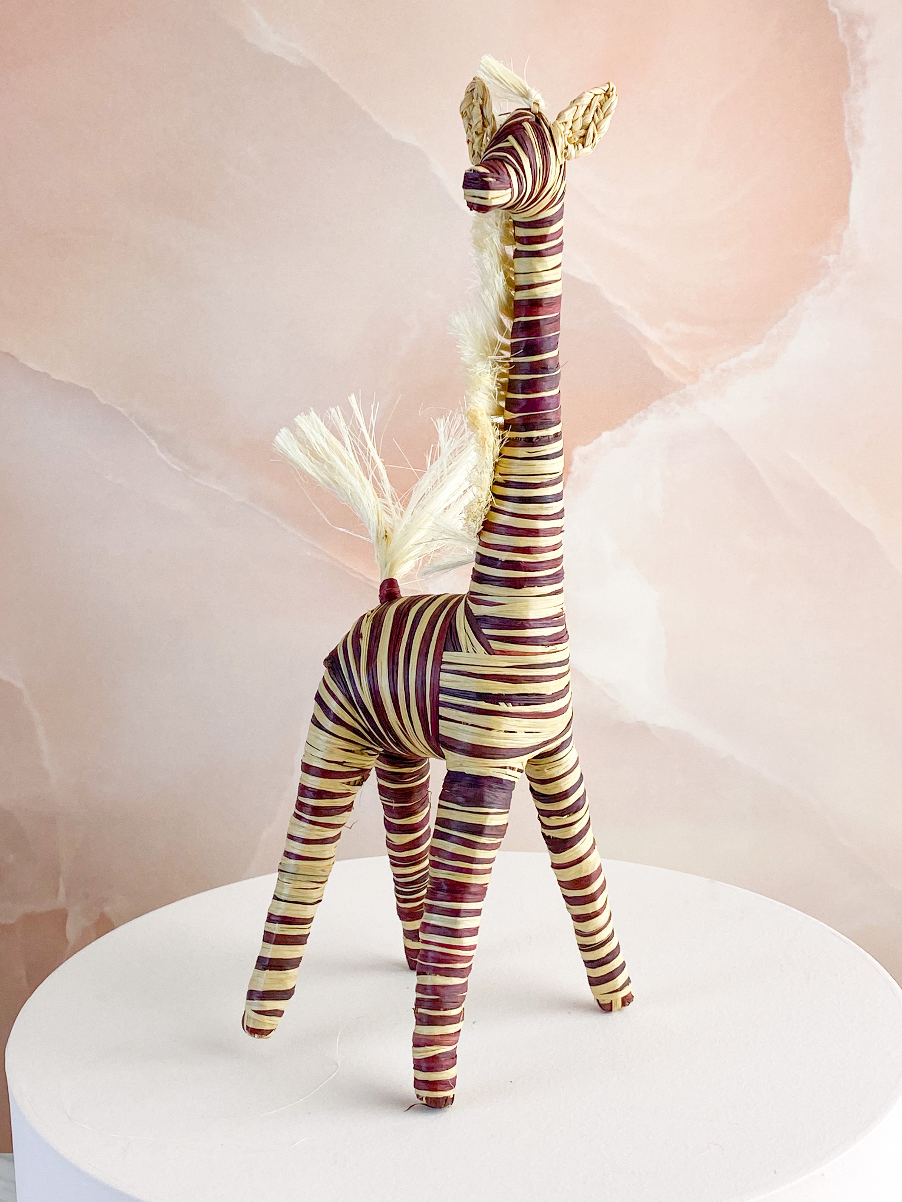 Hand -tråkig giraff från Madagaskar