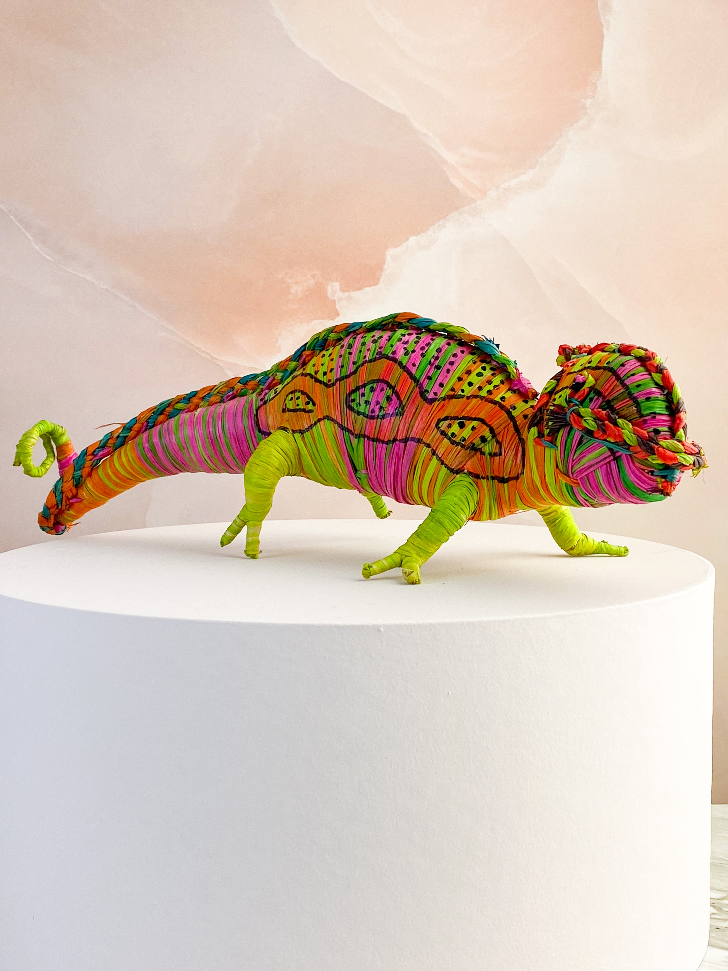 Hand -tråkig kameleon från Madagaskar