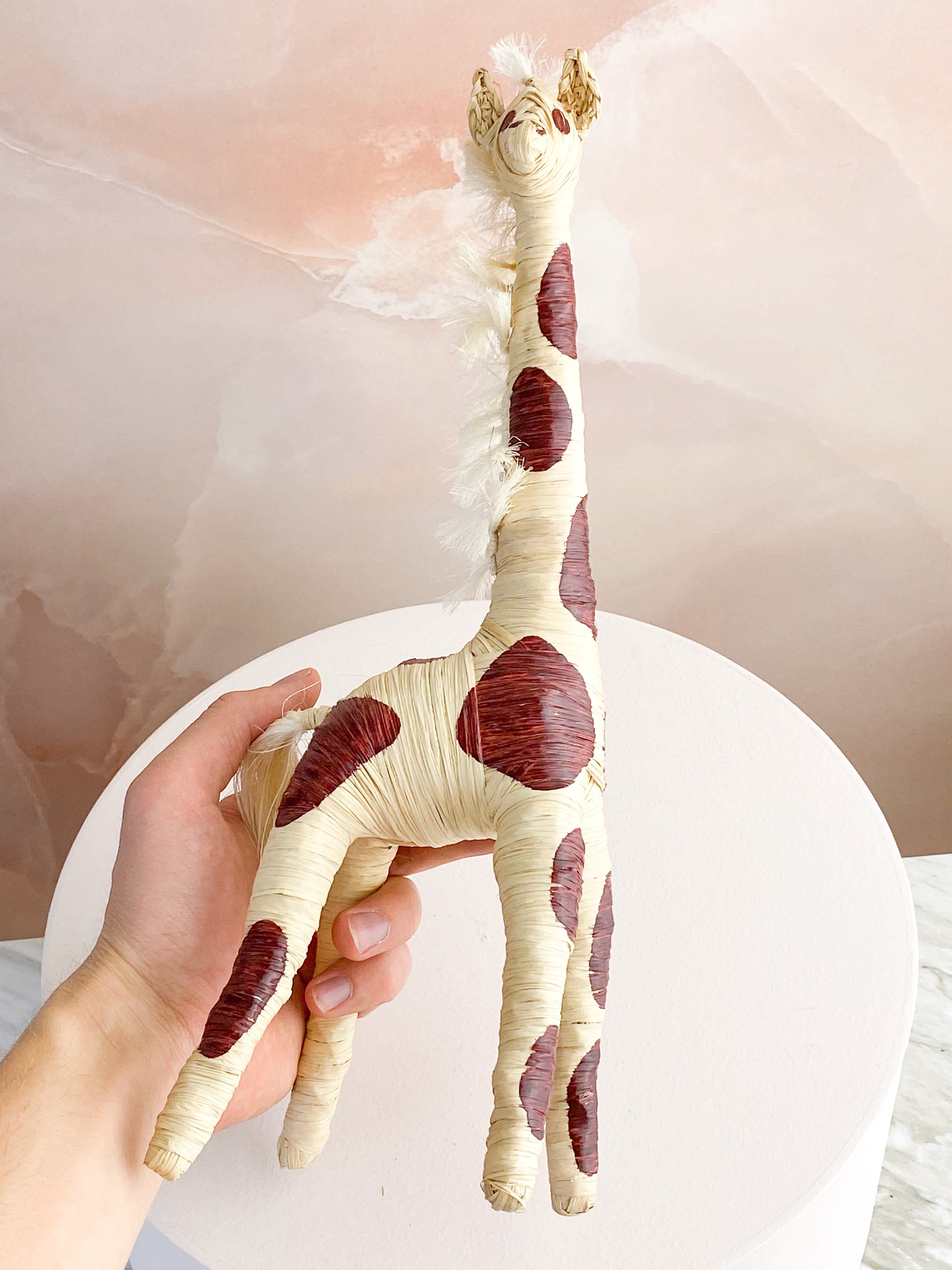 Hand -tråkig giraff från Madagaskar
