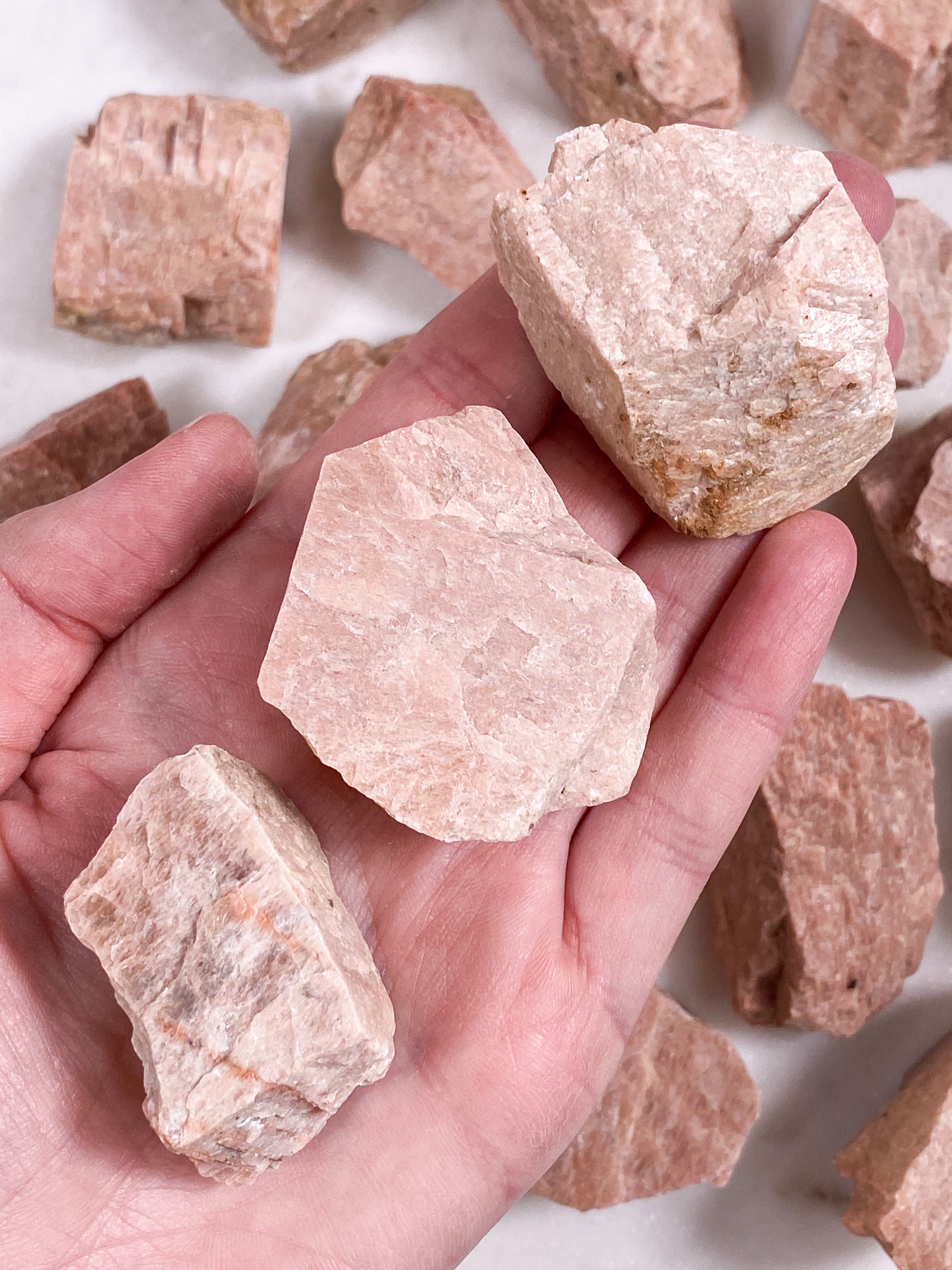 Orthoceras skål (12 cm)