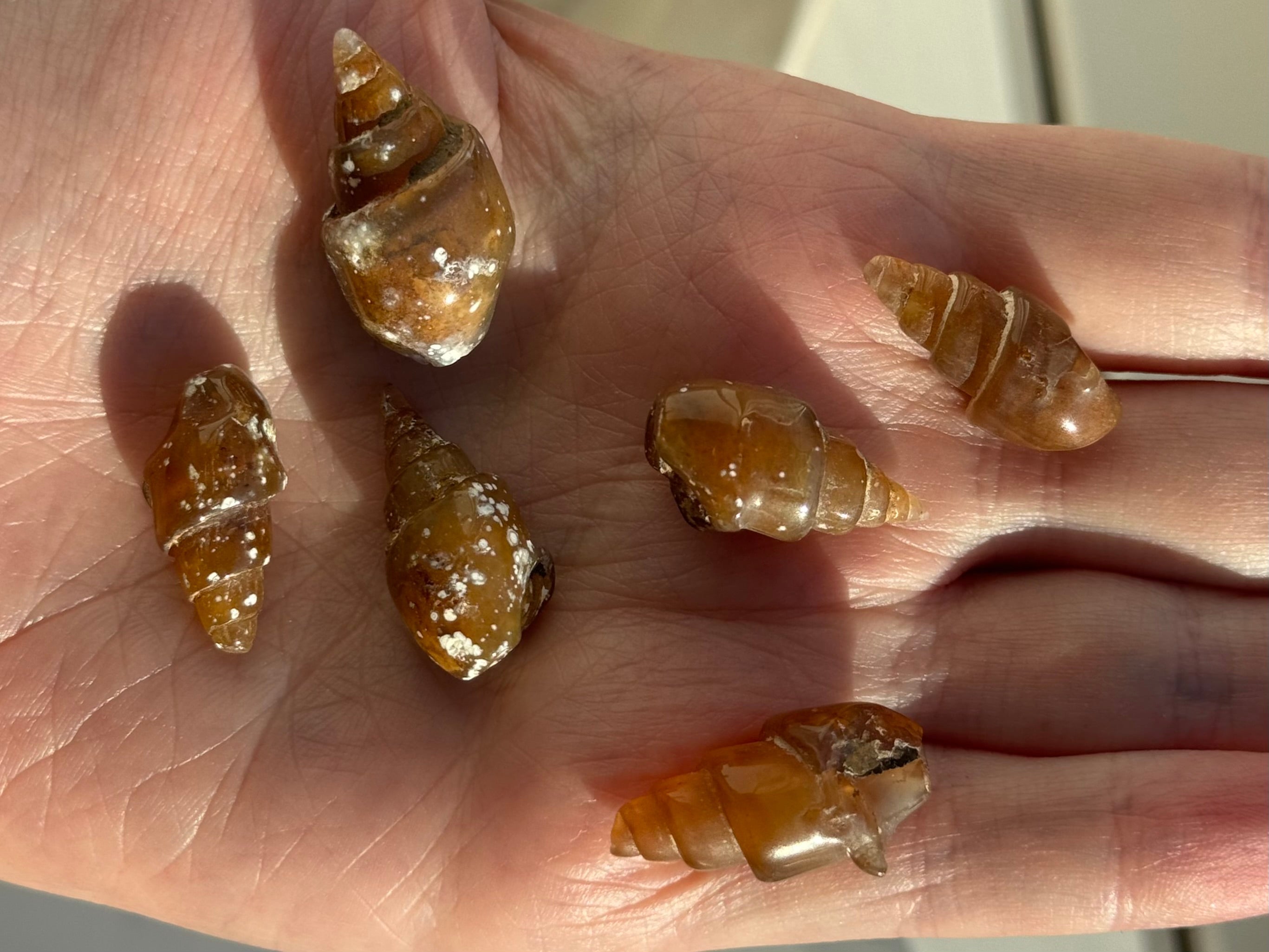 Julekalender 2025: 2. december