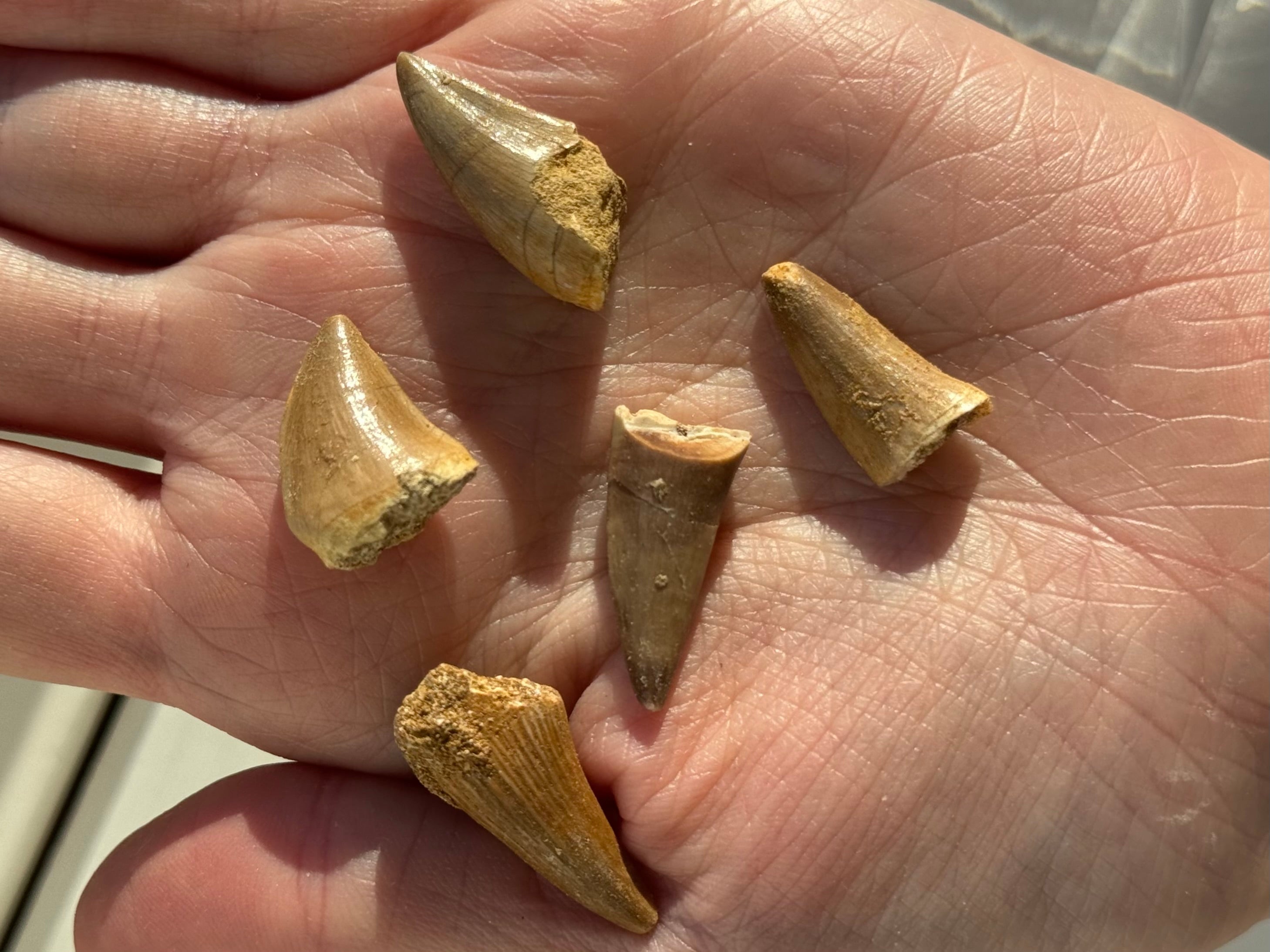 Julekalender 2025: 17. december