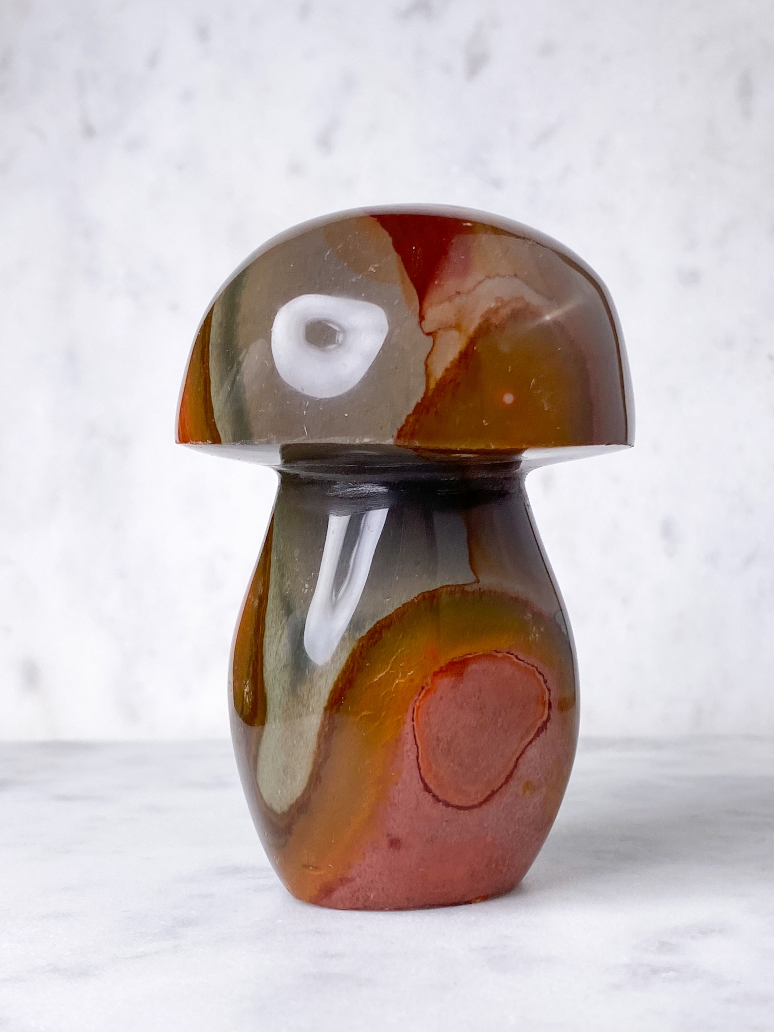 Polychrom Jasper Palm Stone (nr 12)