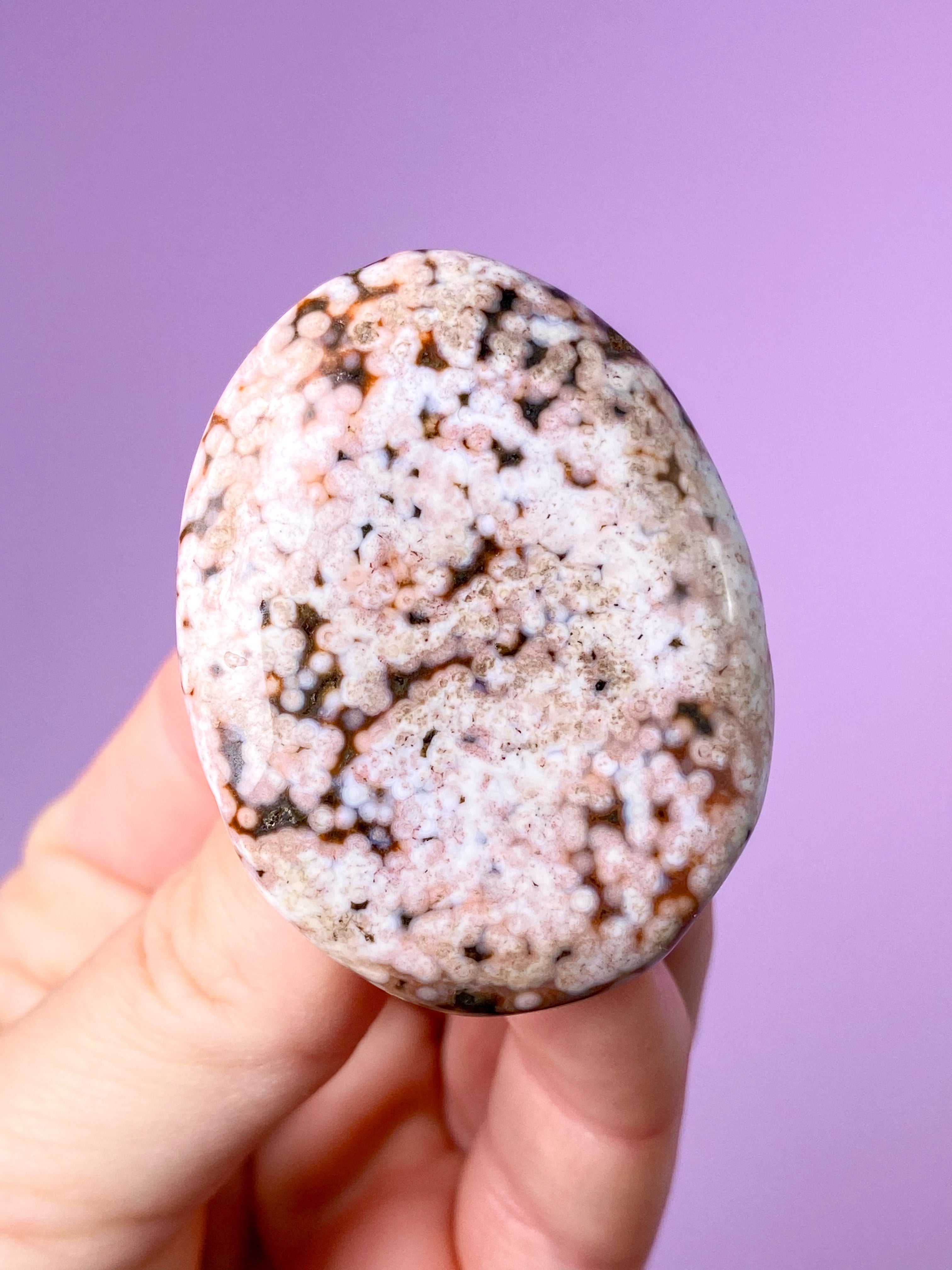 Ocean Jasper Svamp (nr 8)