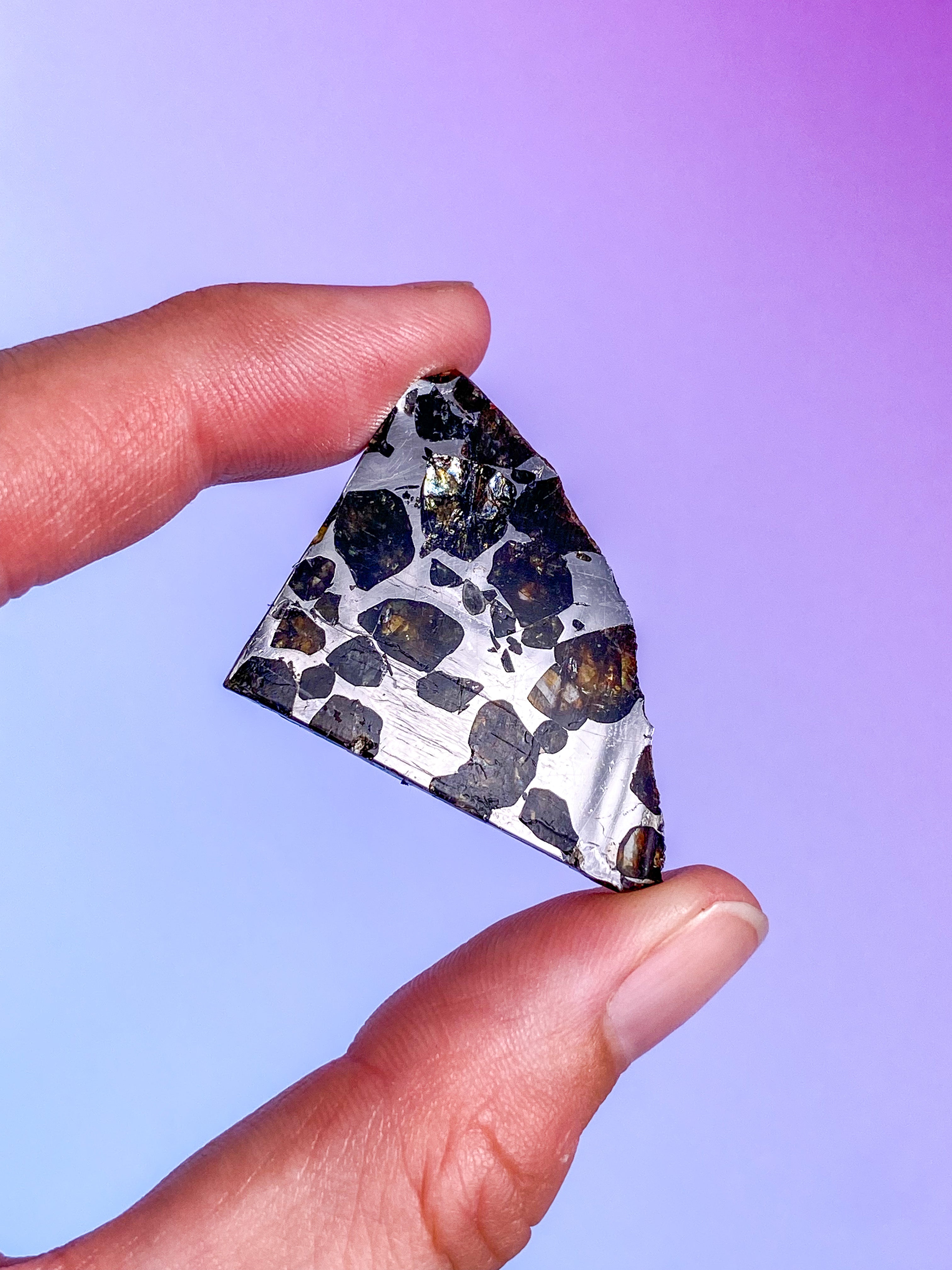 Seymchan Meteorit (Nr. 4)