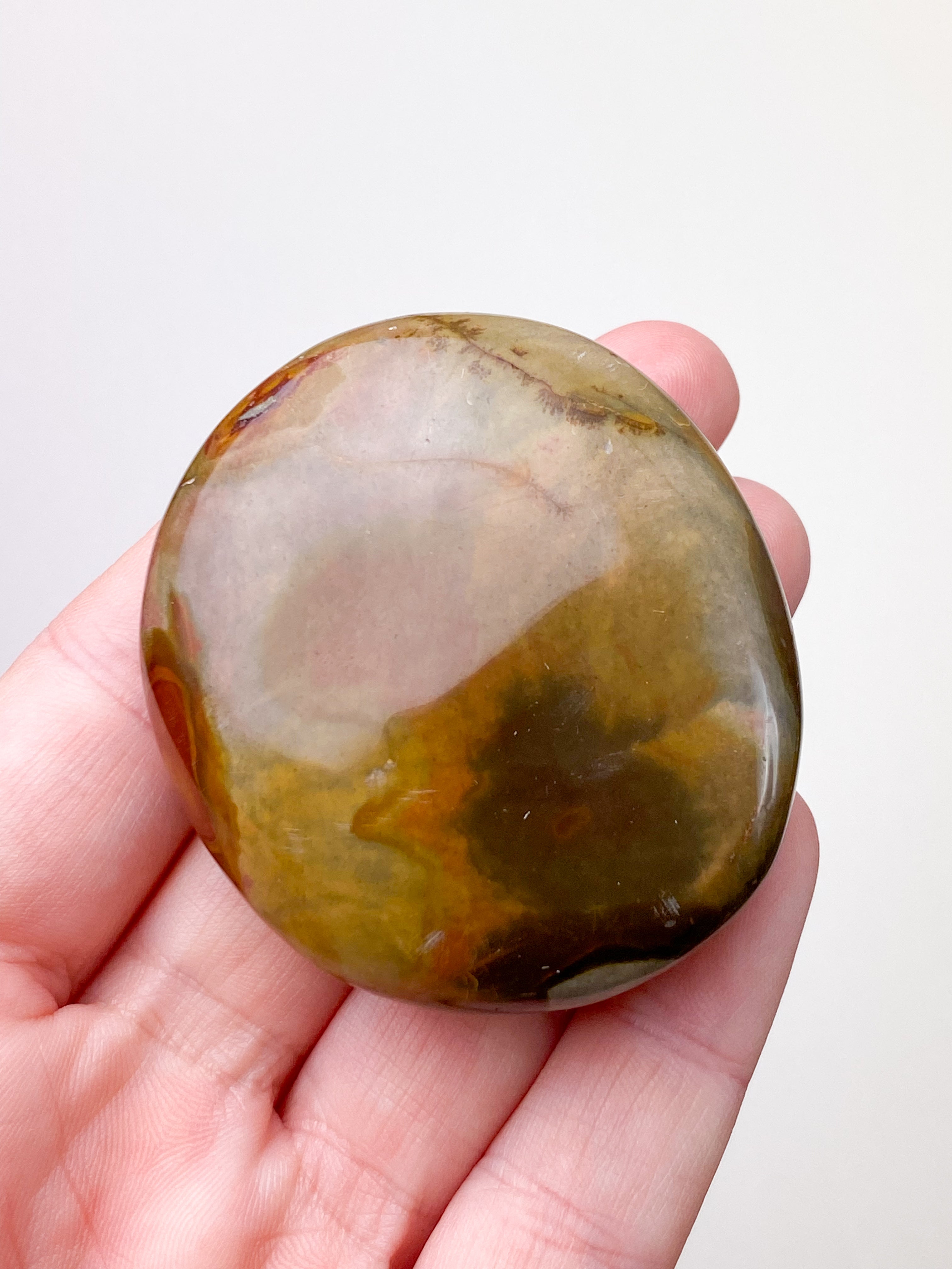 Polychrom Jasper Palm Stone (nr 12)