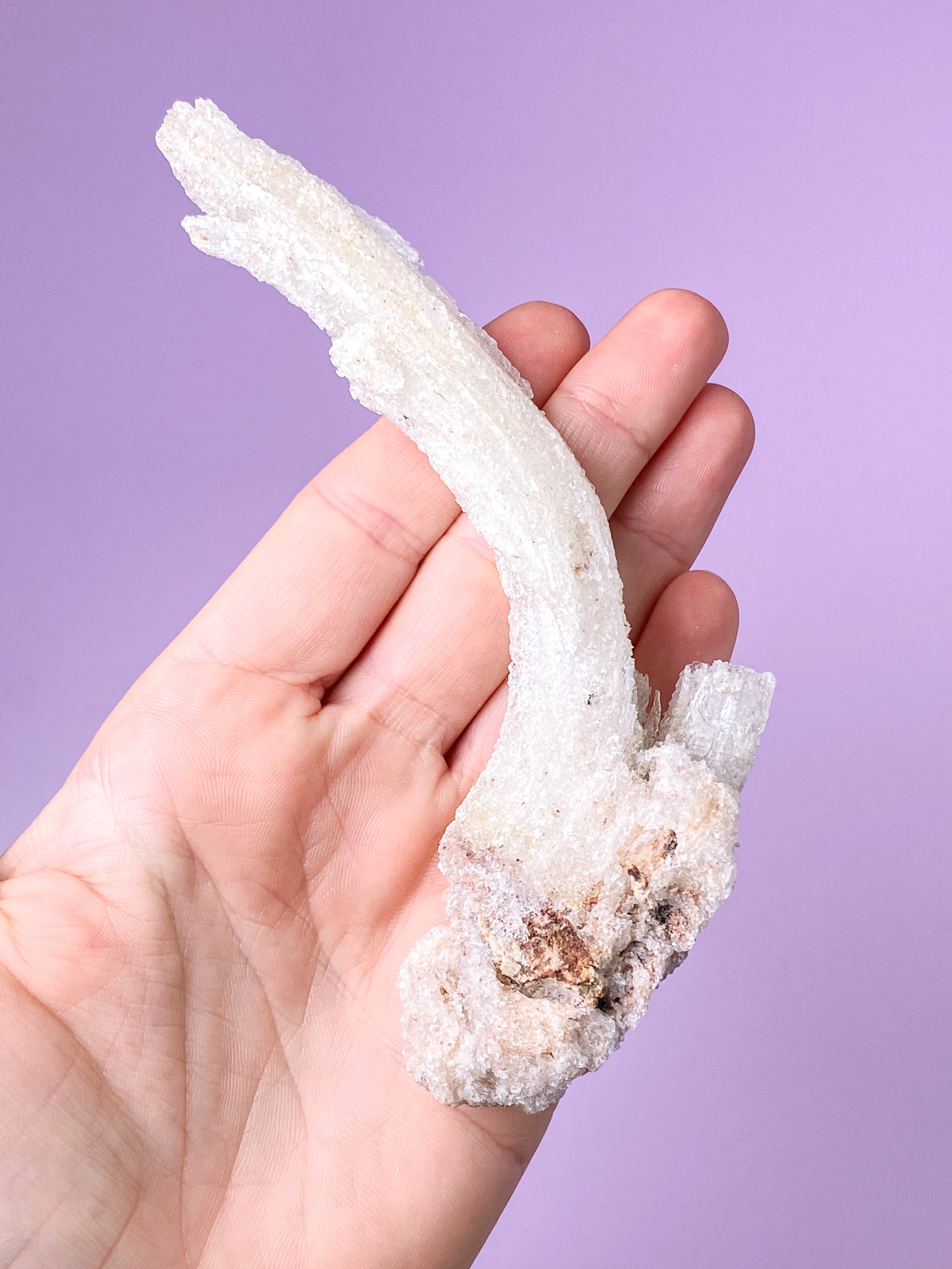 Vädurshornselenit (nr 1) Exklusiv kvalitet