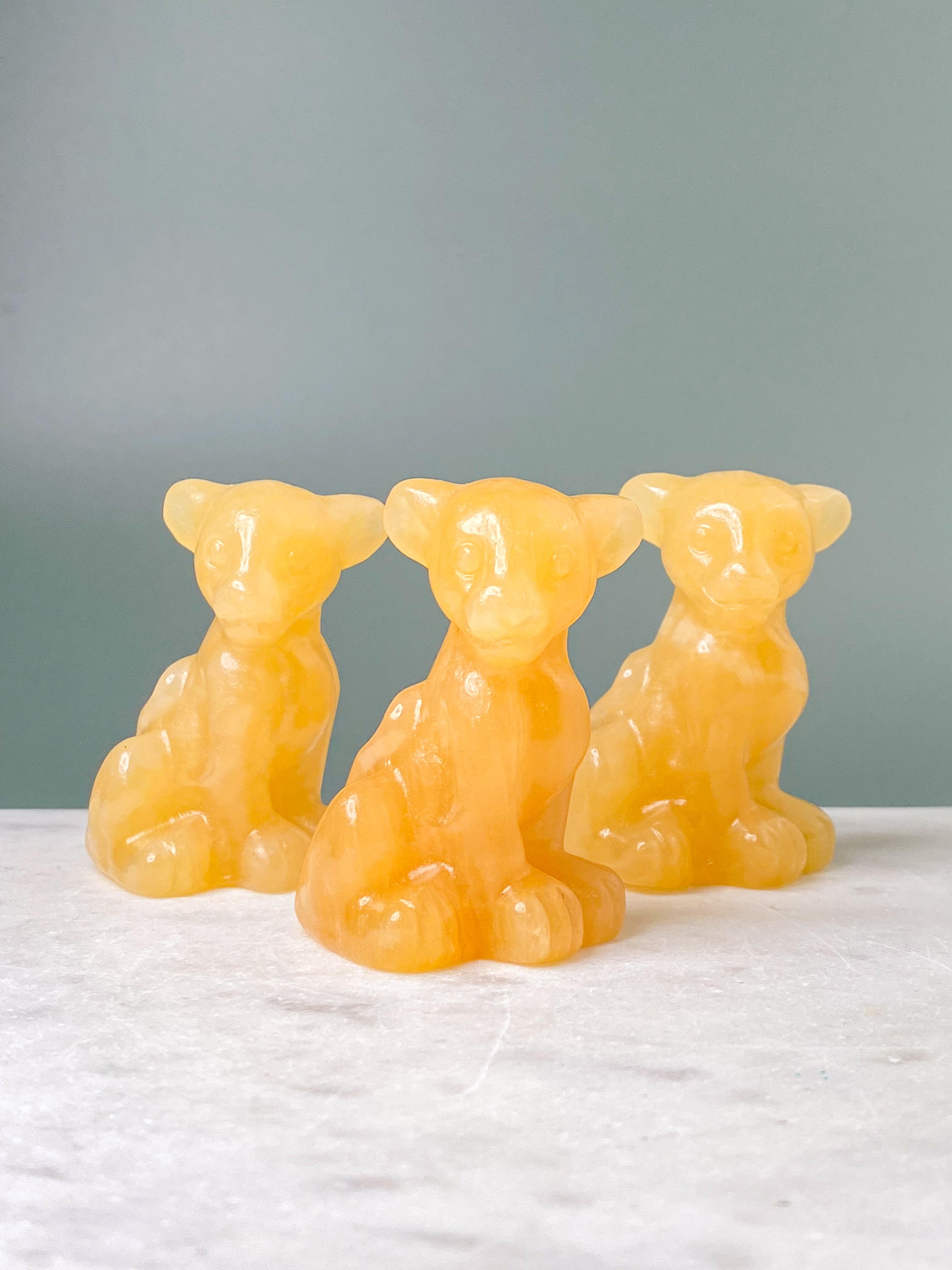 Orange kalcitpumpa med band