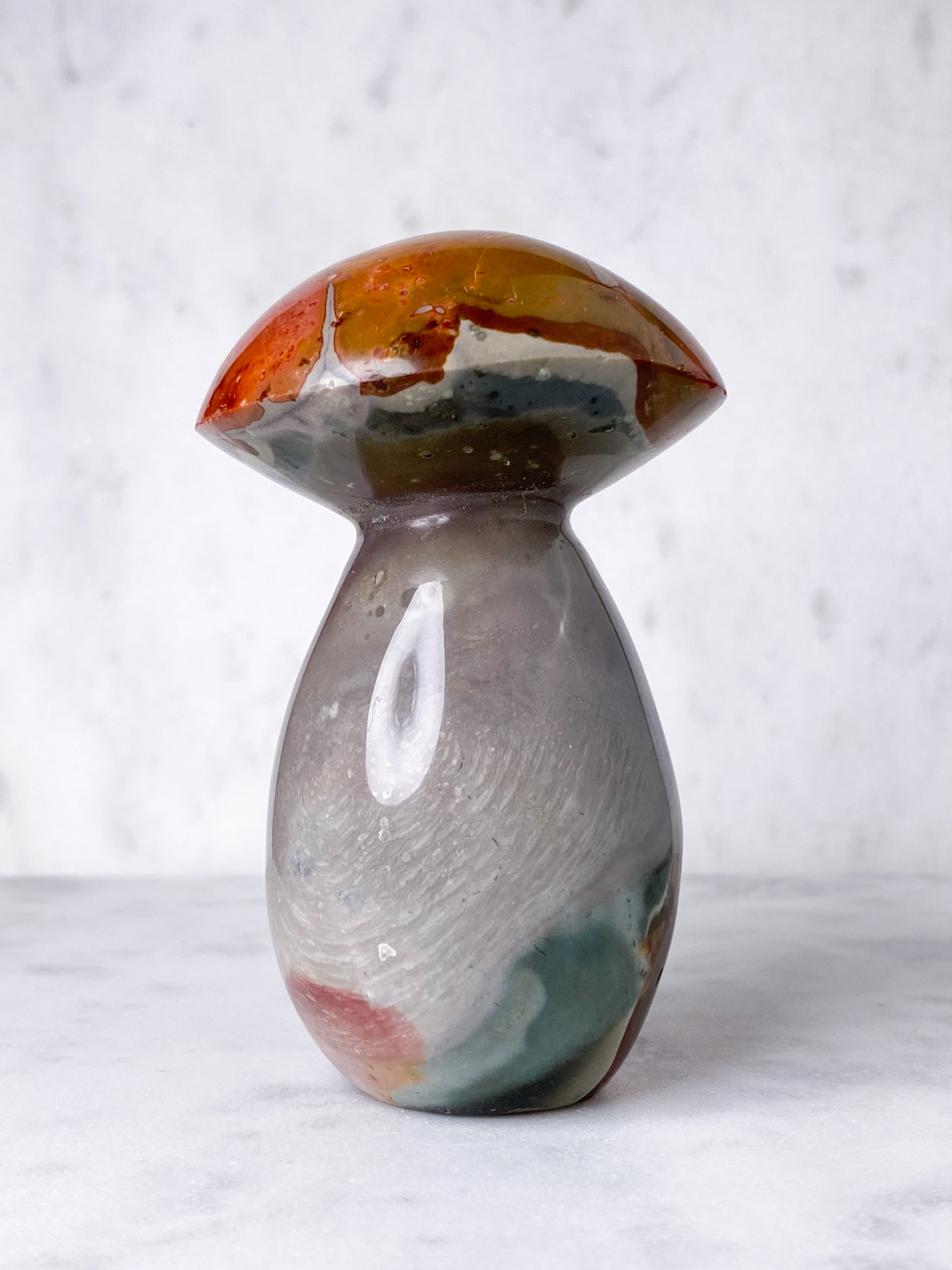 Polychrom Jasper Palm Stone (nr 12)