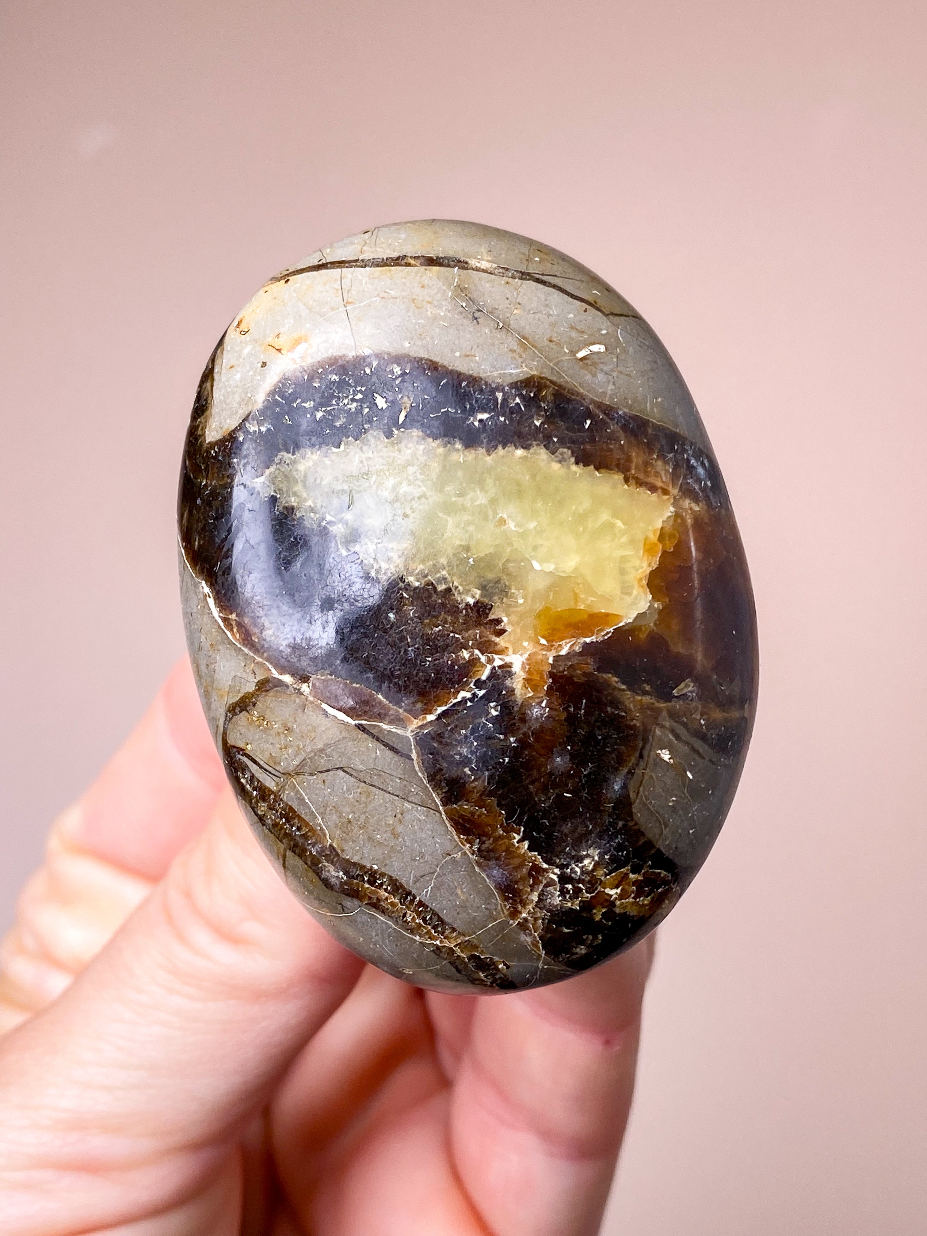 Septarie Palmstone (nr 4)