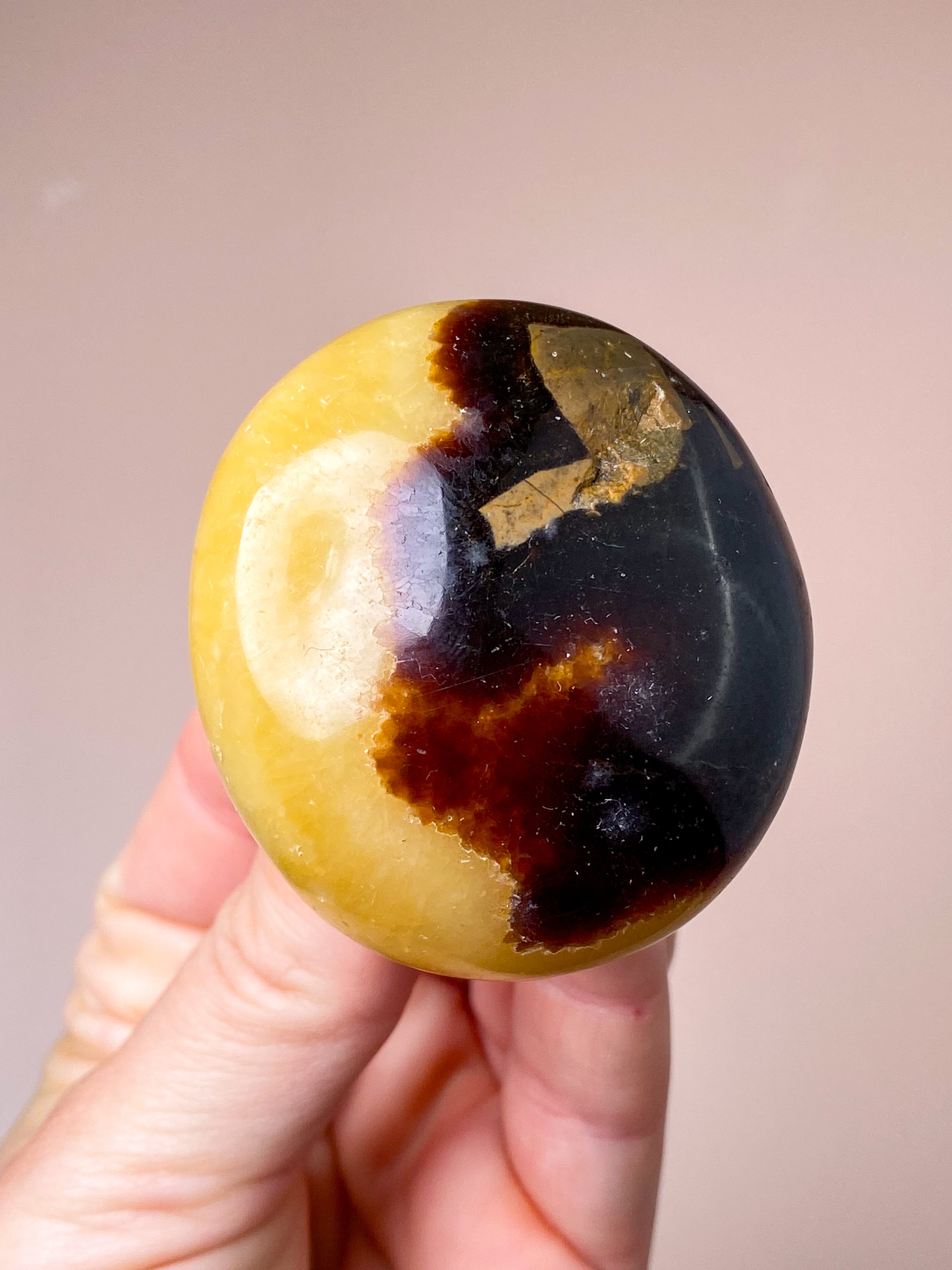 Septarie Palmstone (nr 6)