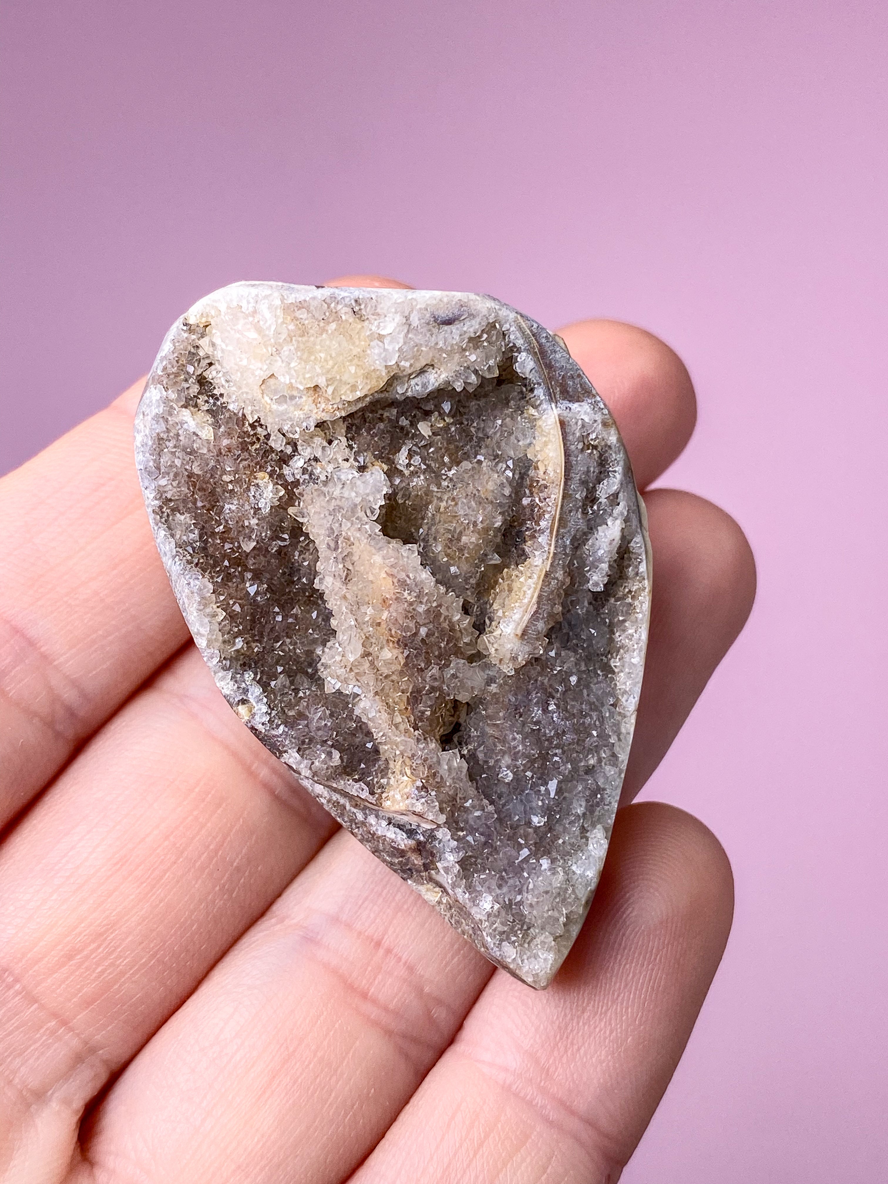 Druzy Conch-fossil (nr 28)