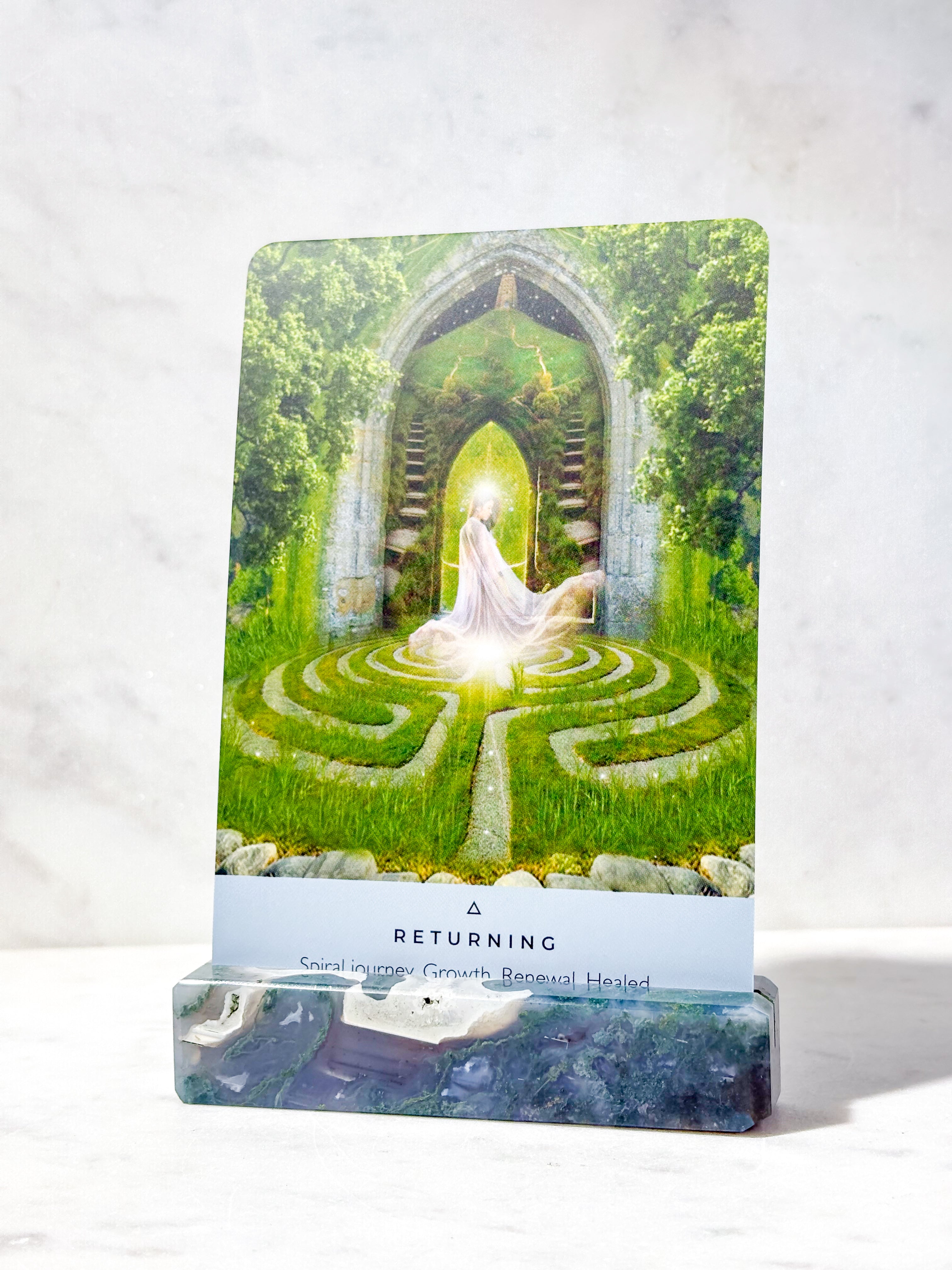 Mossagat-korthållare