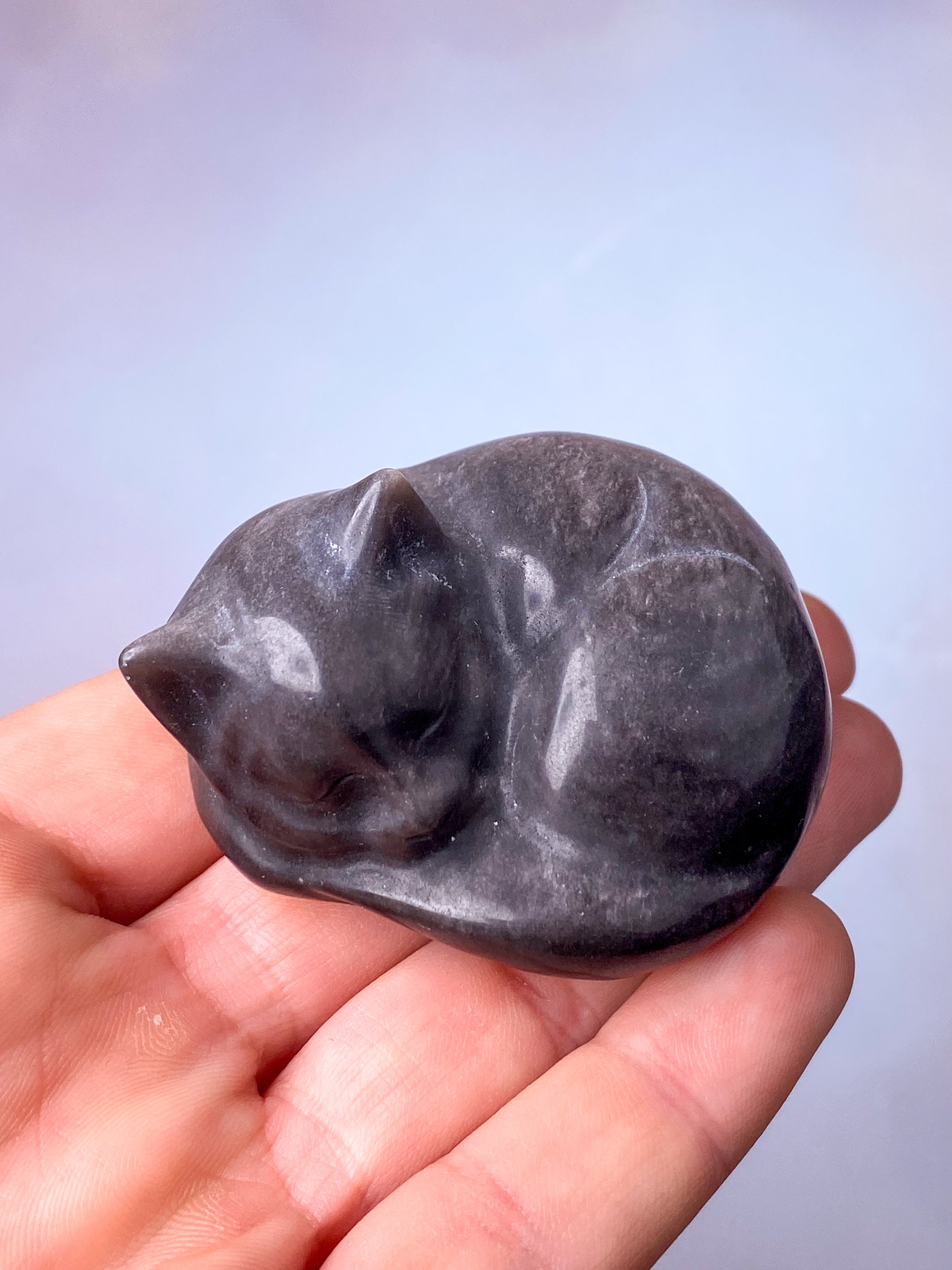 Sølv Obsidian Kat