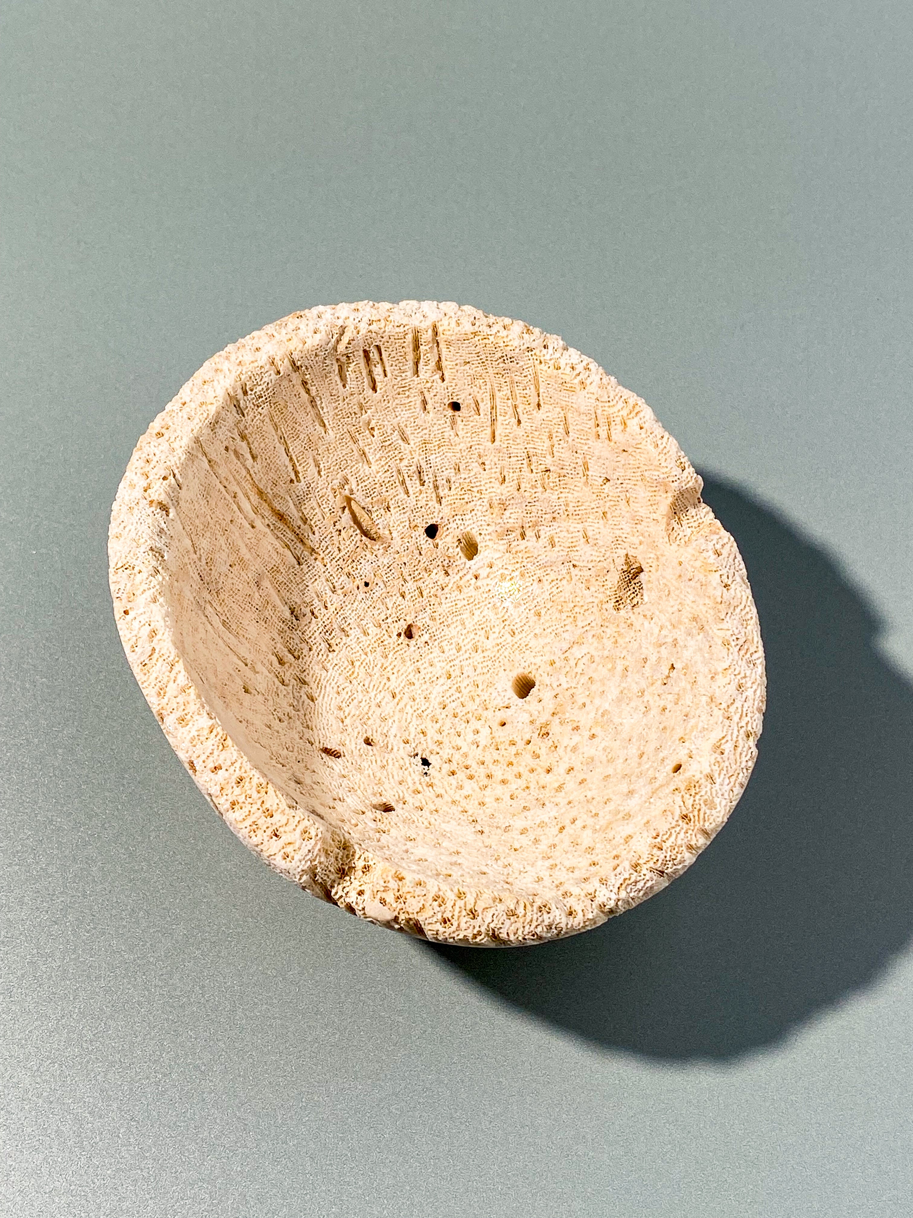 Koralrods Fossil Skål (Nr. 2)