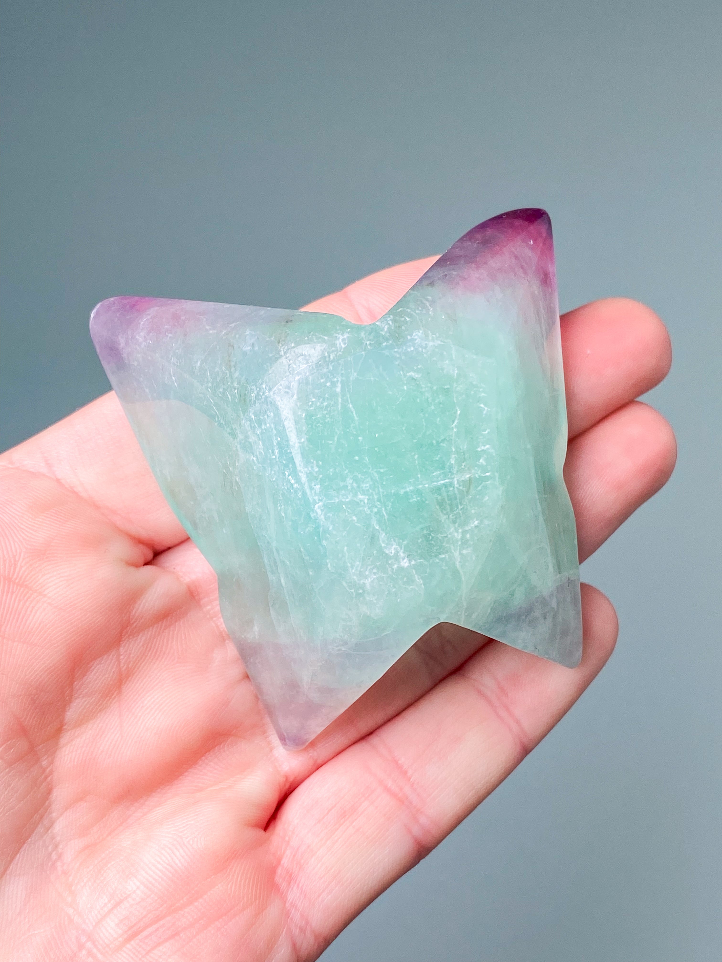 Regnbågsfluoritfjäril (nr 1)