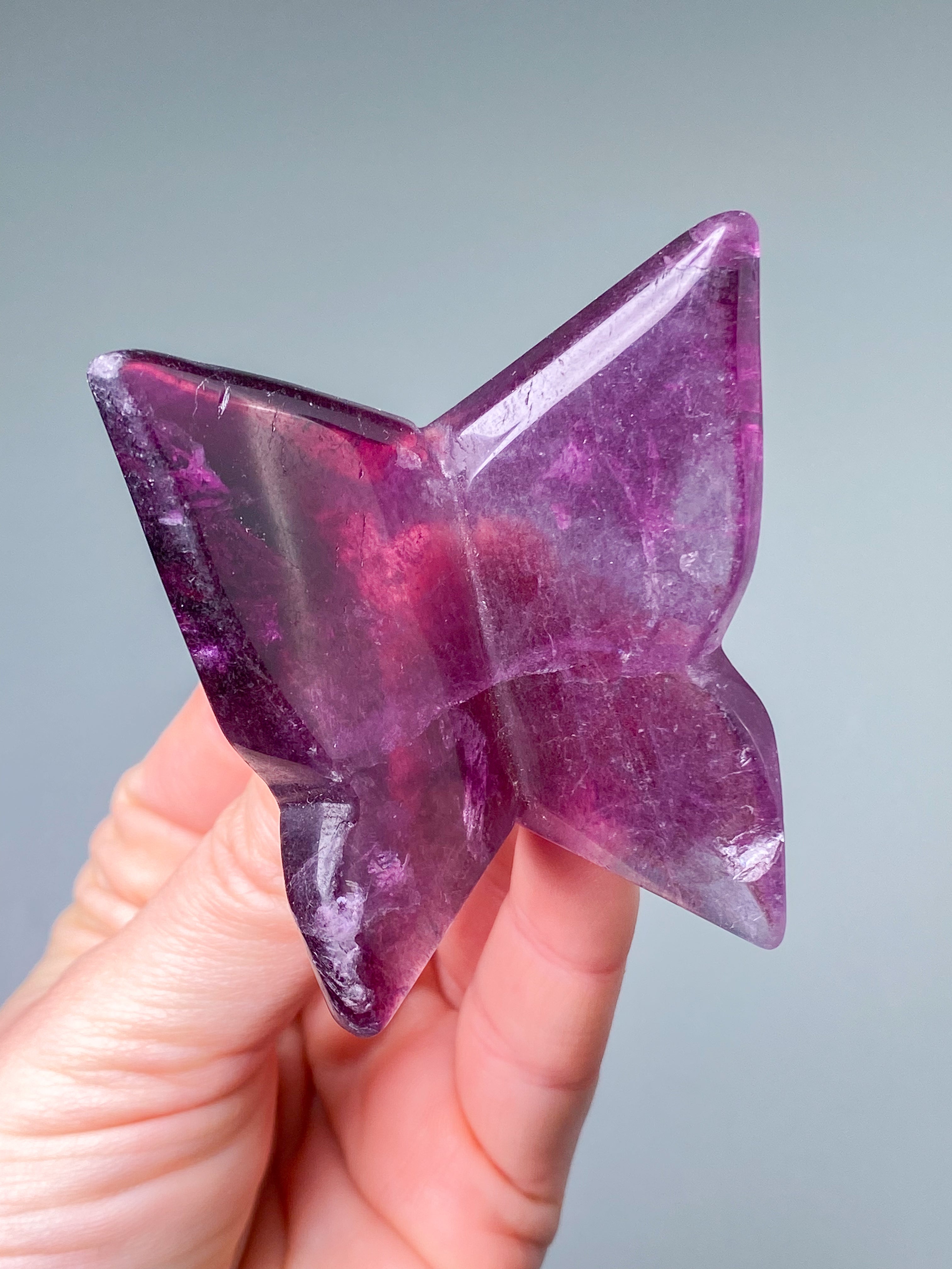 Regnbågsfluoritfjäril (nr 5)