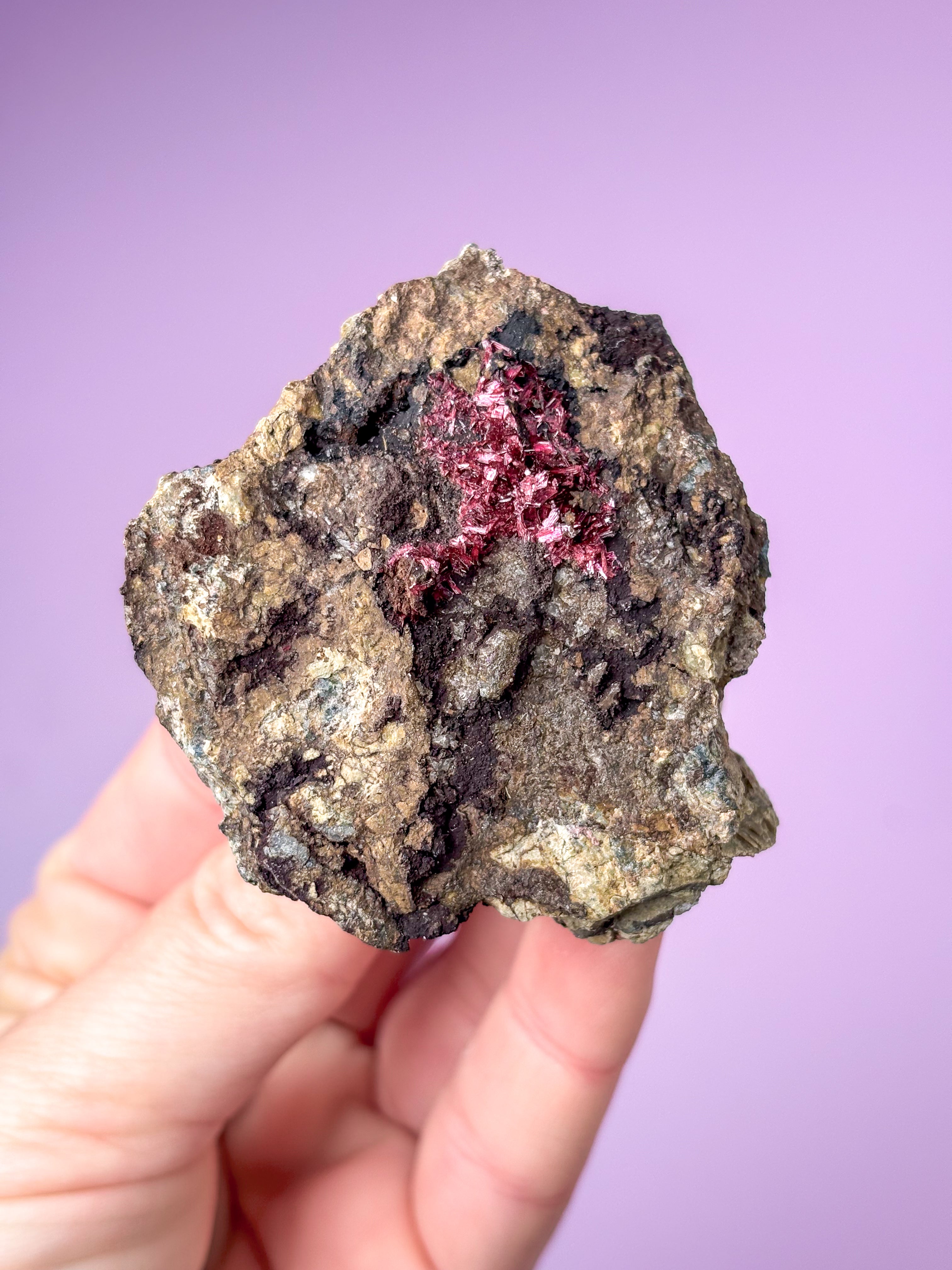 Erytritkluster (nr 4)