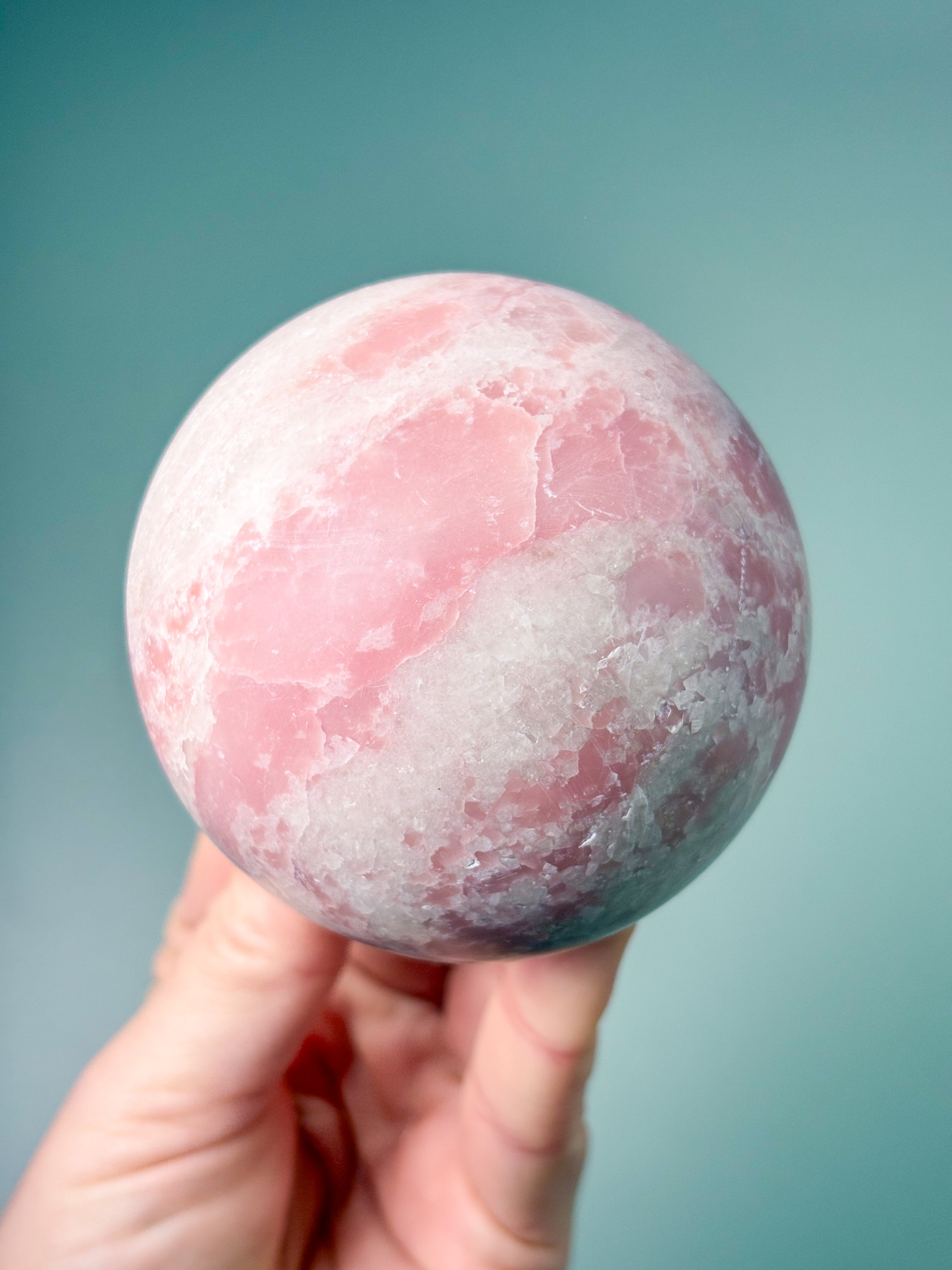 Rosa Opalkula (nr 1)