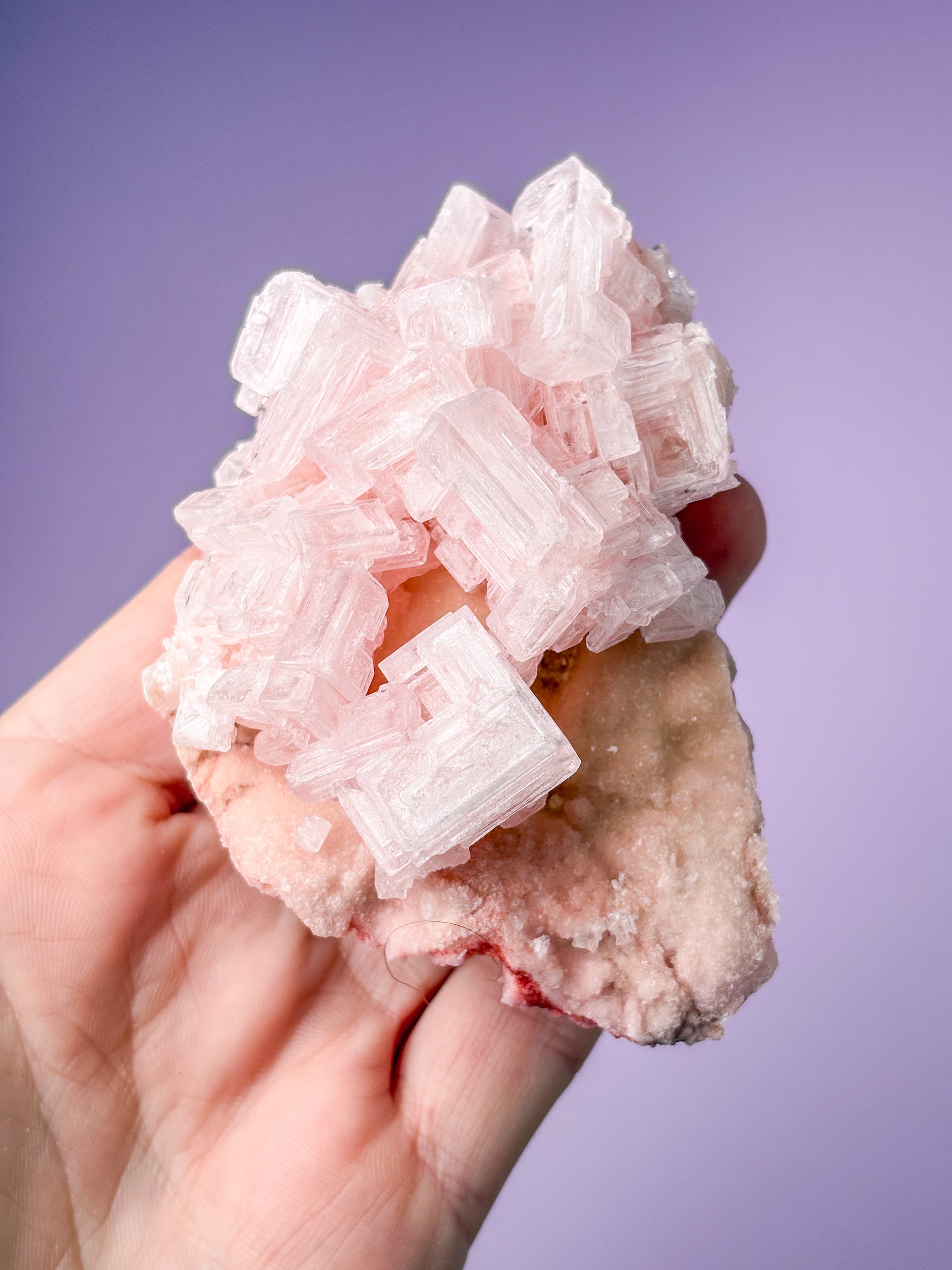 Rosa halitkluster (nr 49) 