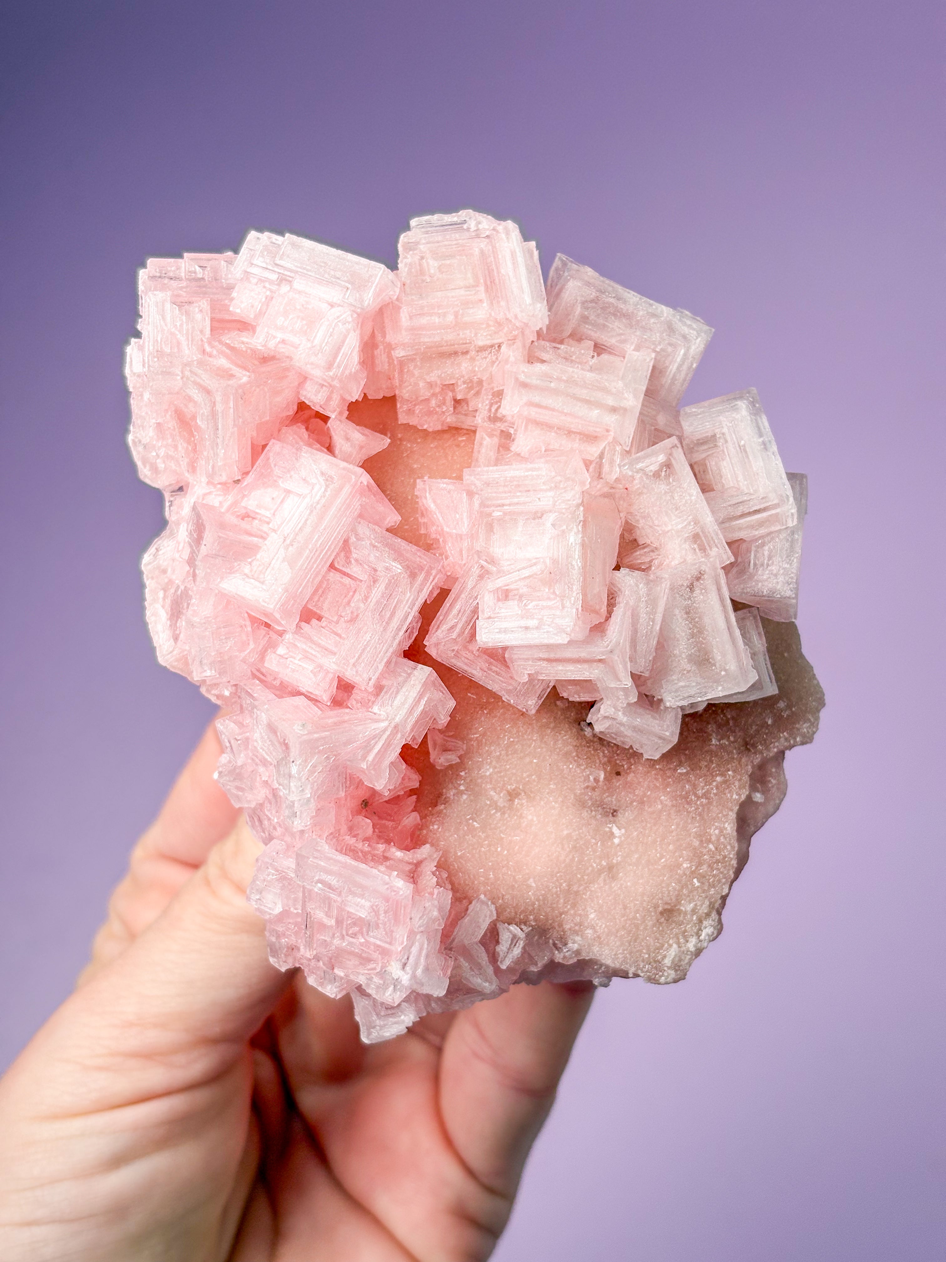 Rosa halitkluster (nr 50) 