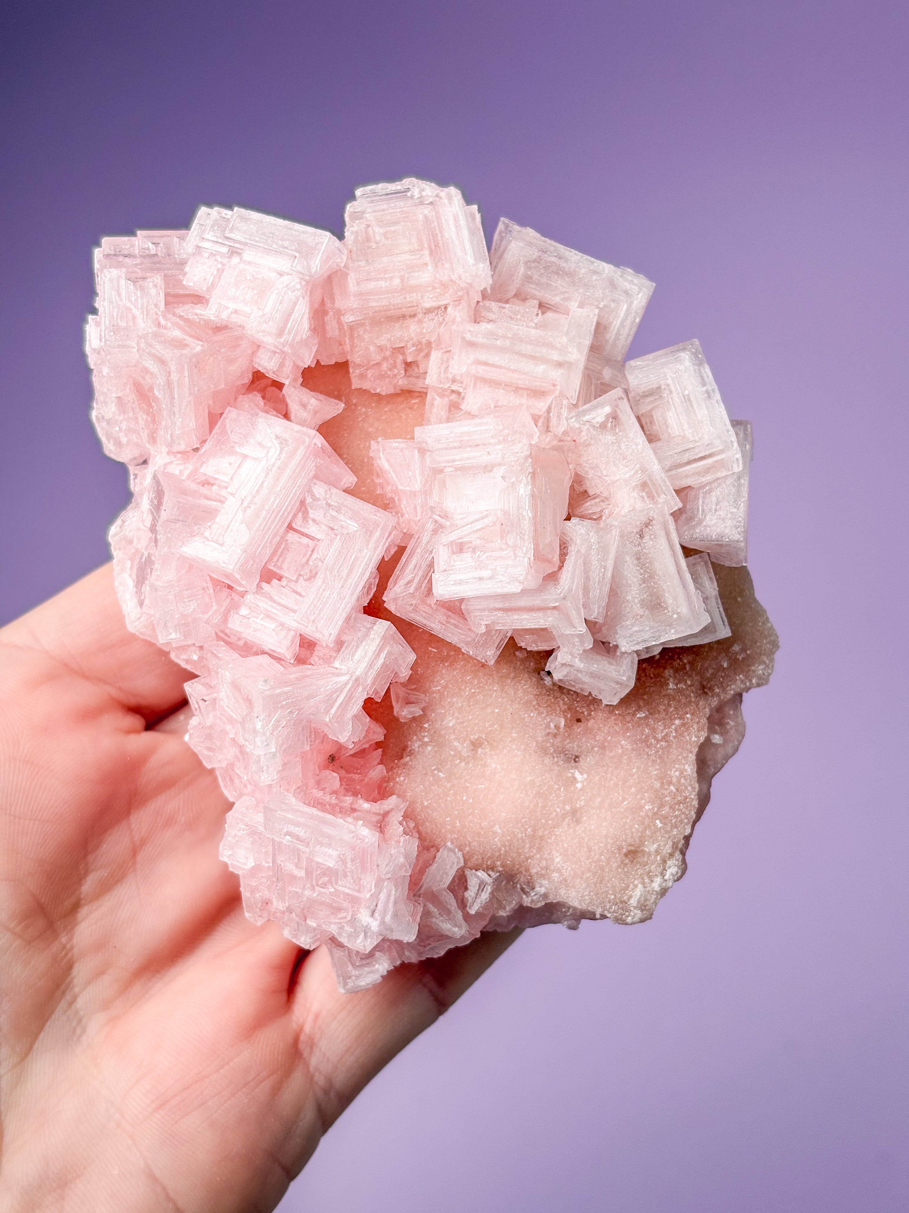 Rosa halitkluster (nr 50) 