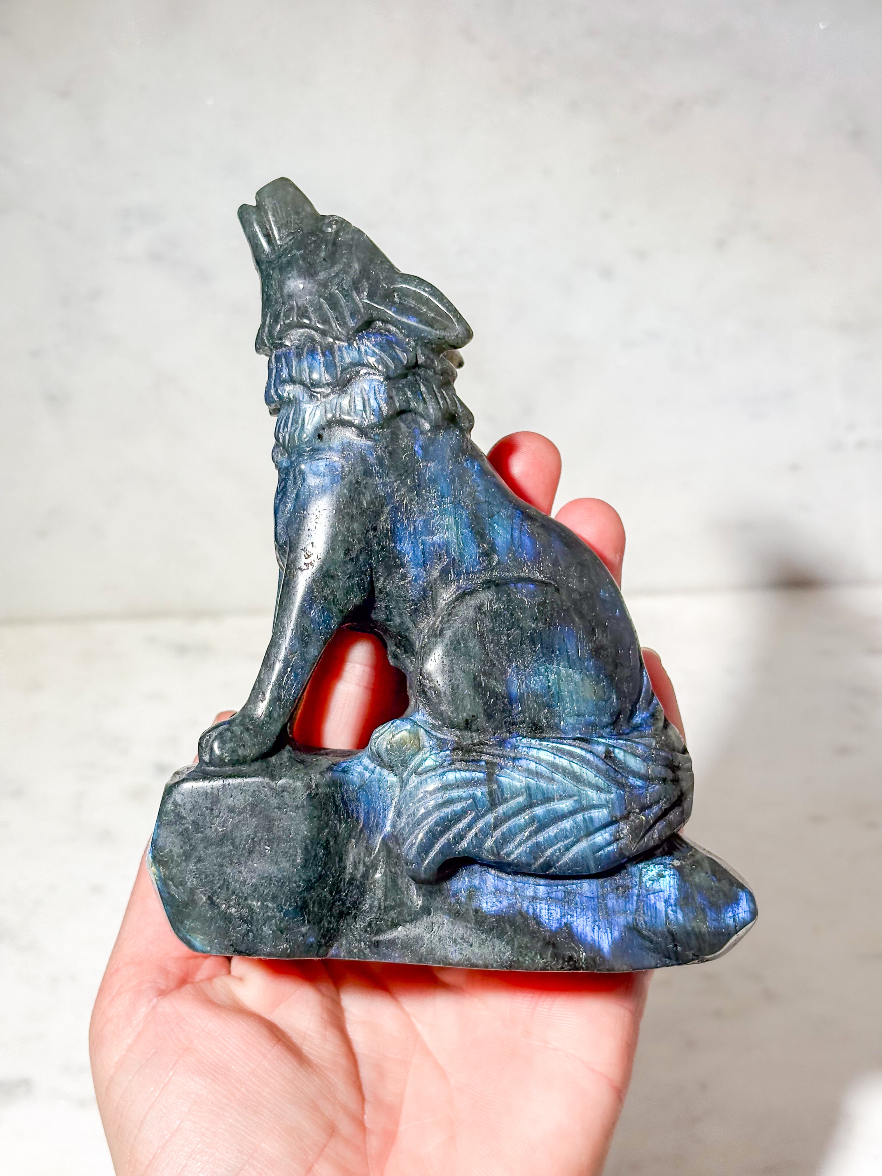 Labradorit Ulv (Nr. 1)