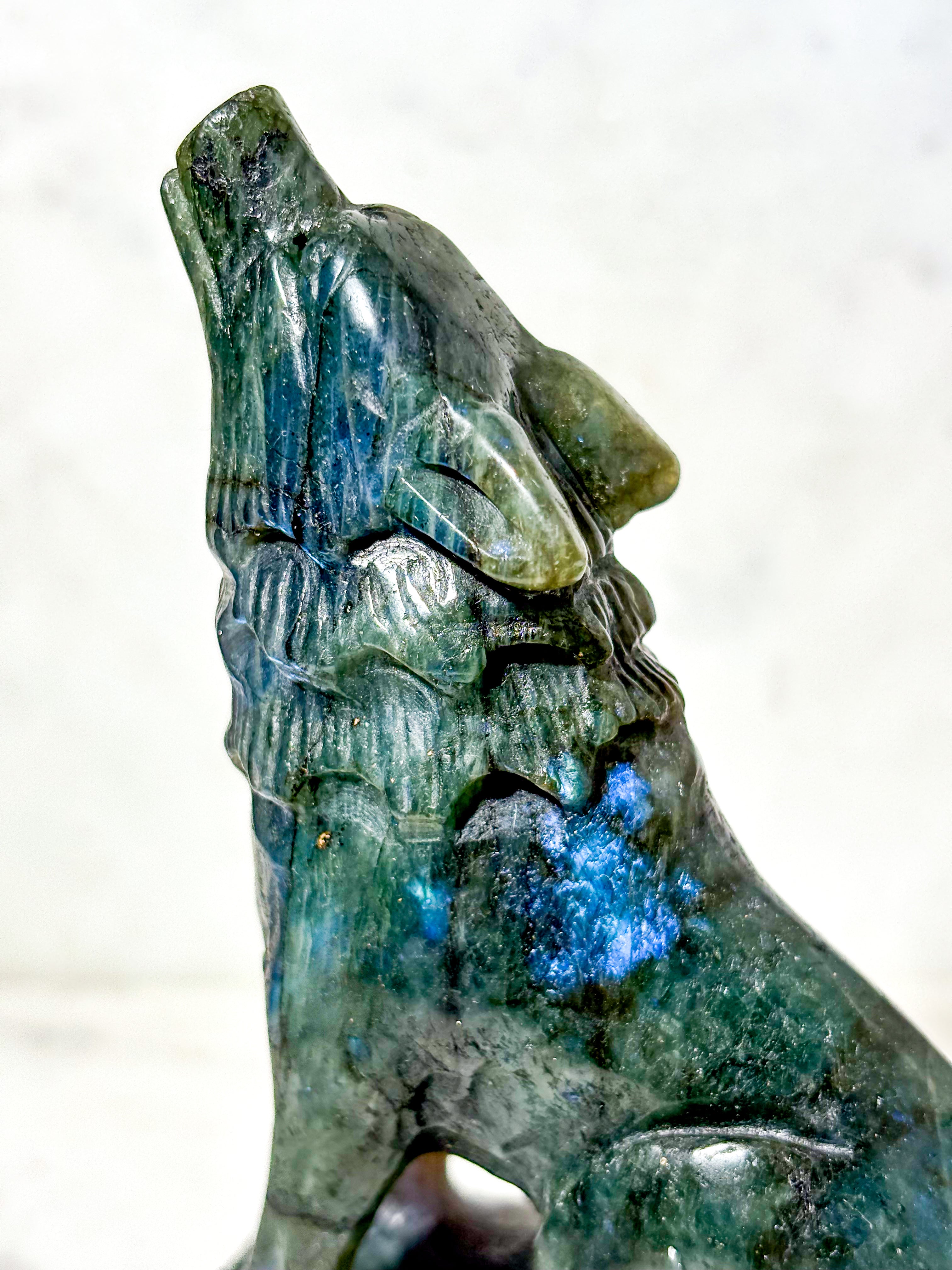 Labradorit Ulv (Nr. 2)