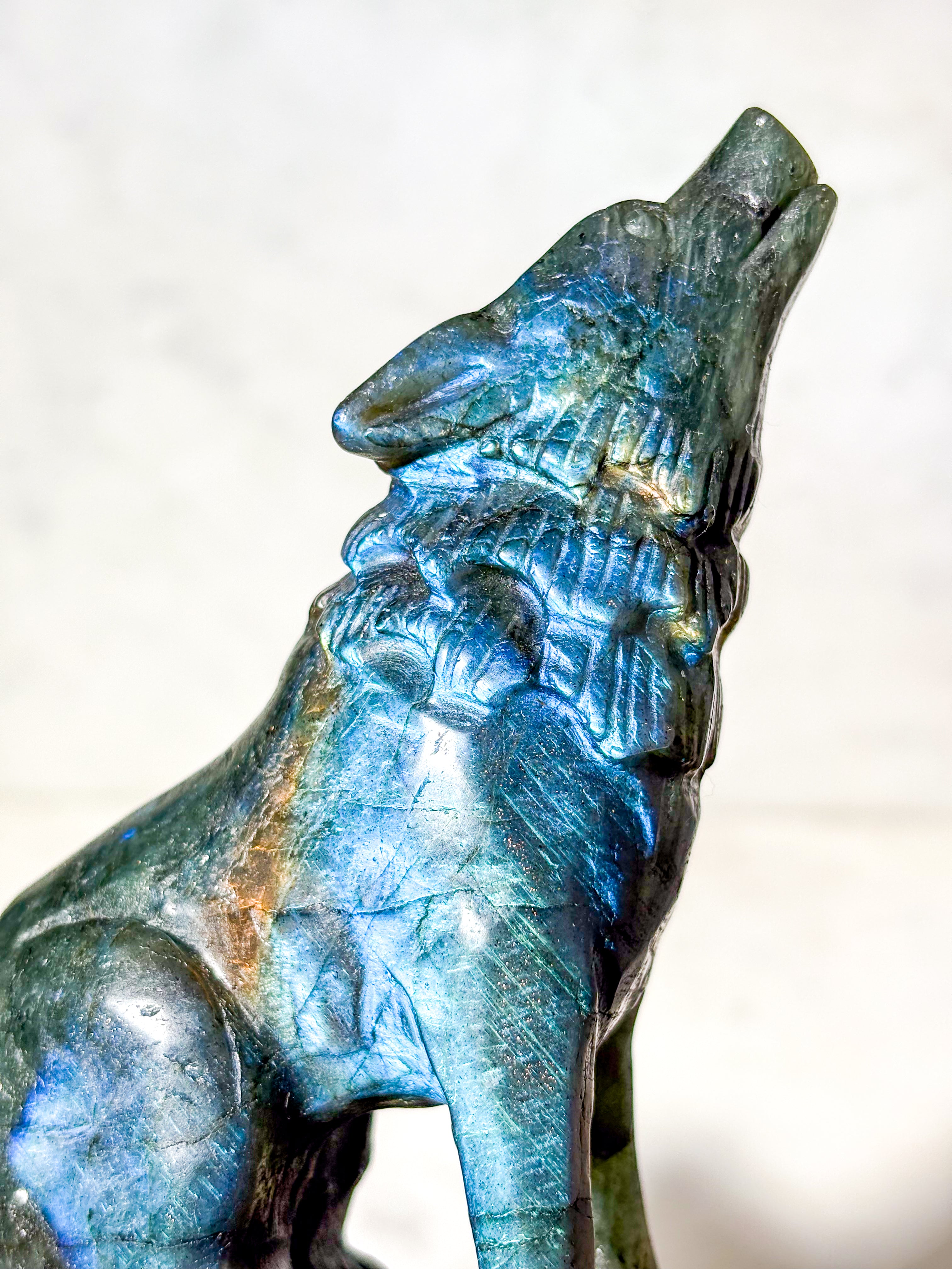 Labradorit Ulv (Nr. 2)