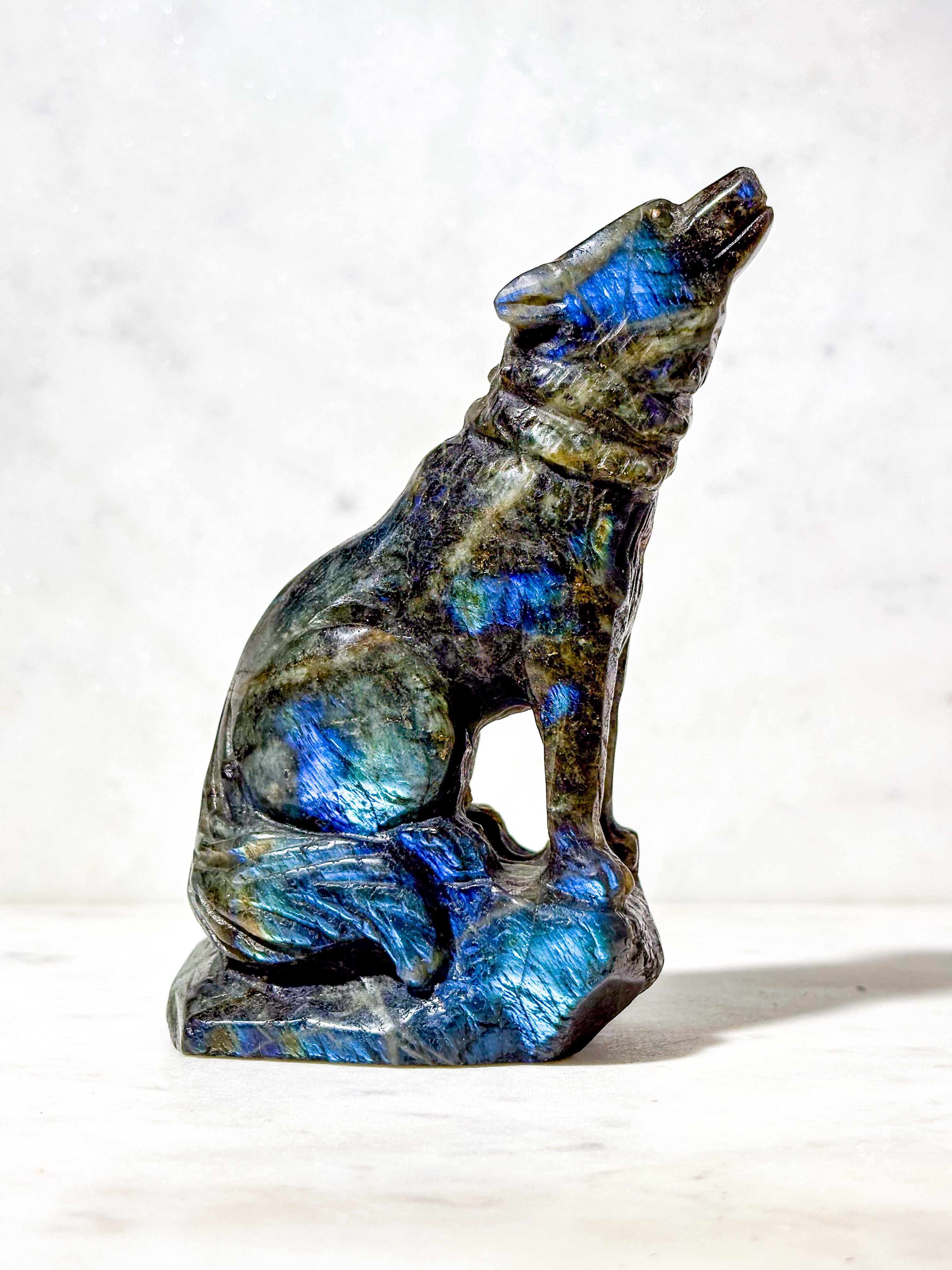 Labradorit Ulv (Nr. 4)