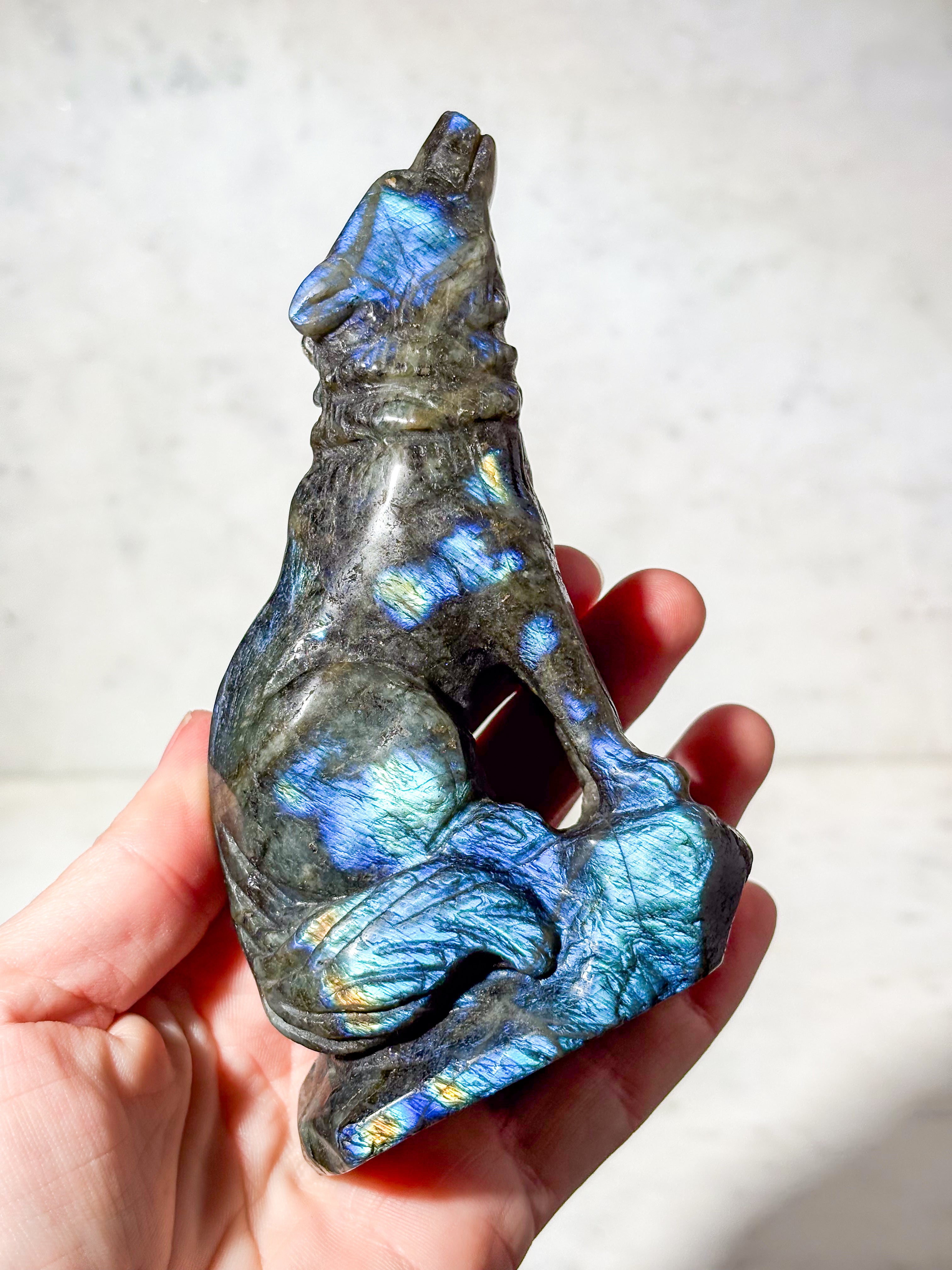 Labradorit Ulv (Nr. 4)