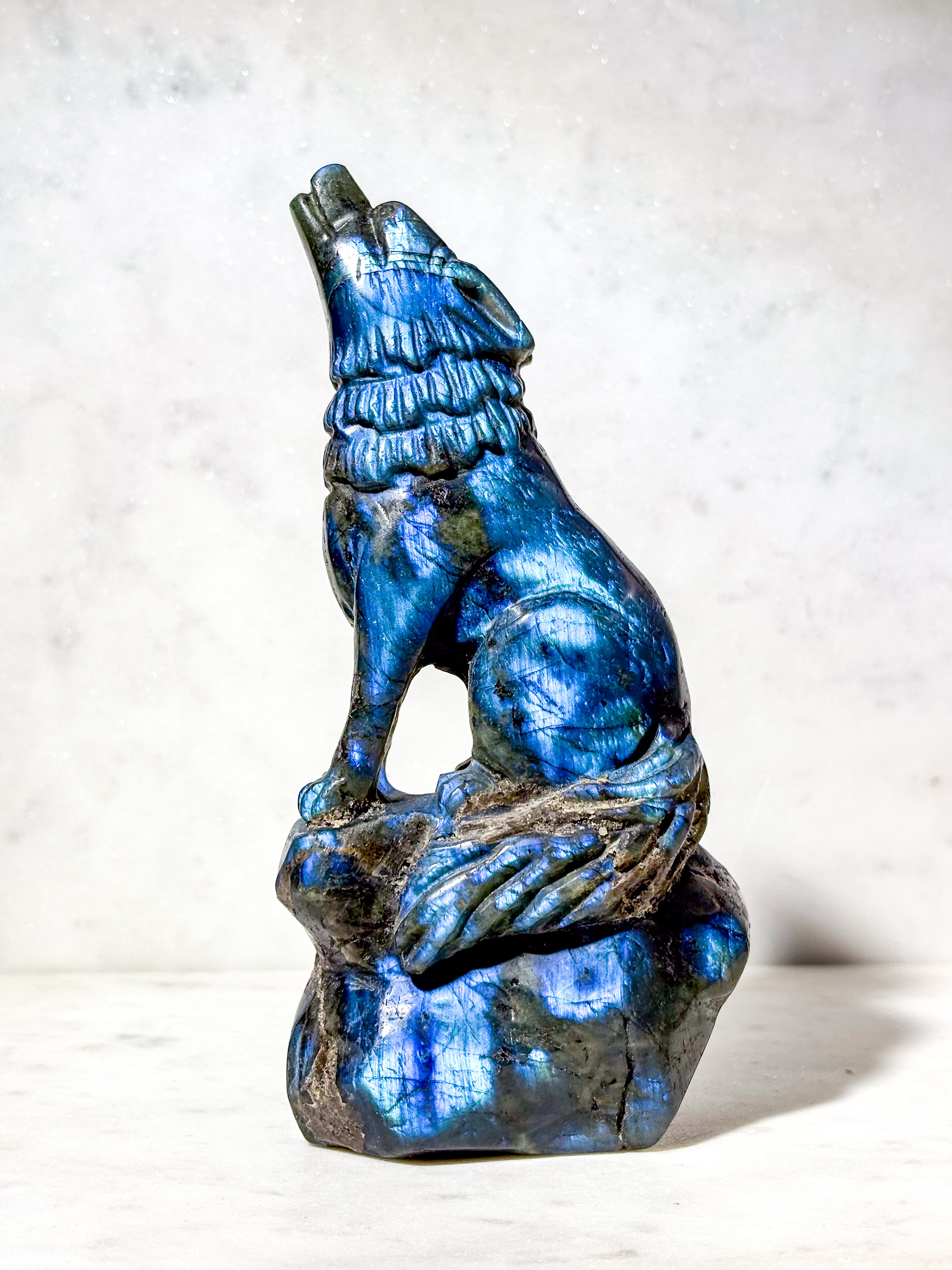 Labradorit Ulv (Nr. 5)