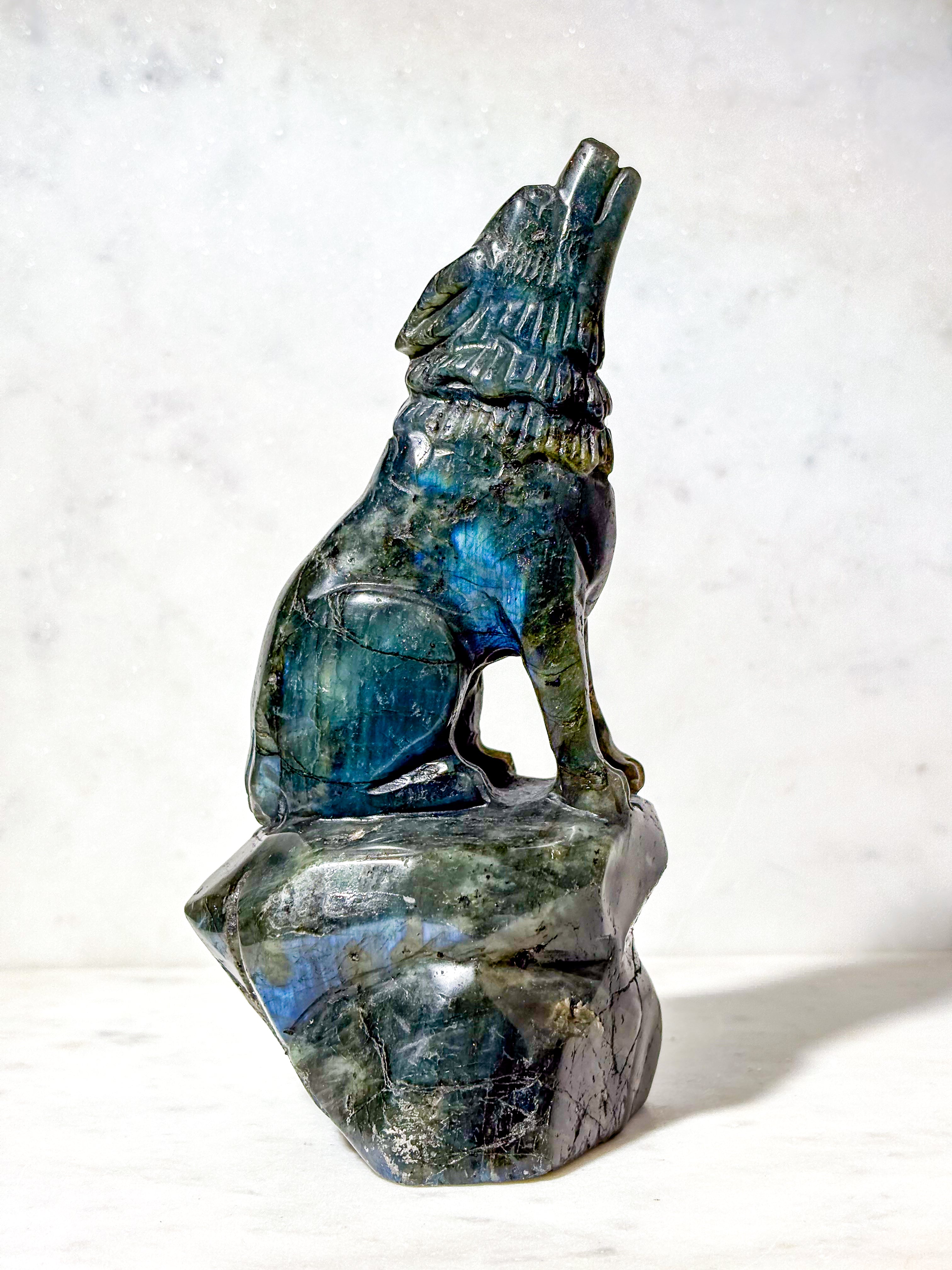 Labradorit Ulv (Nr. 5)