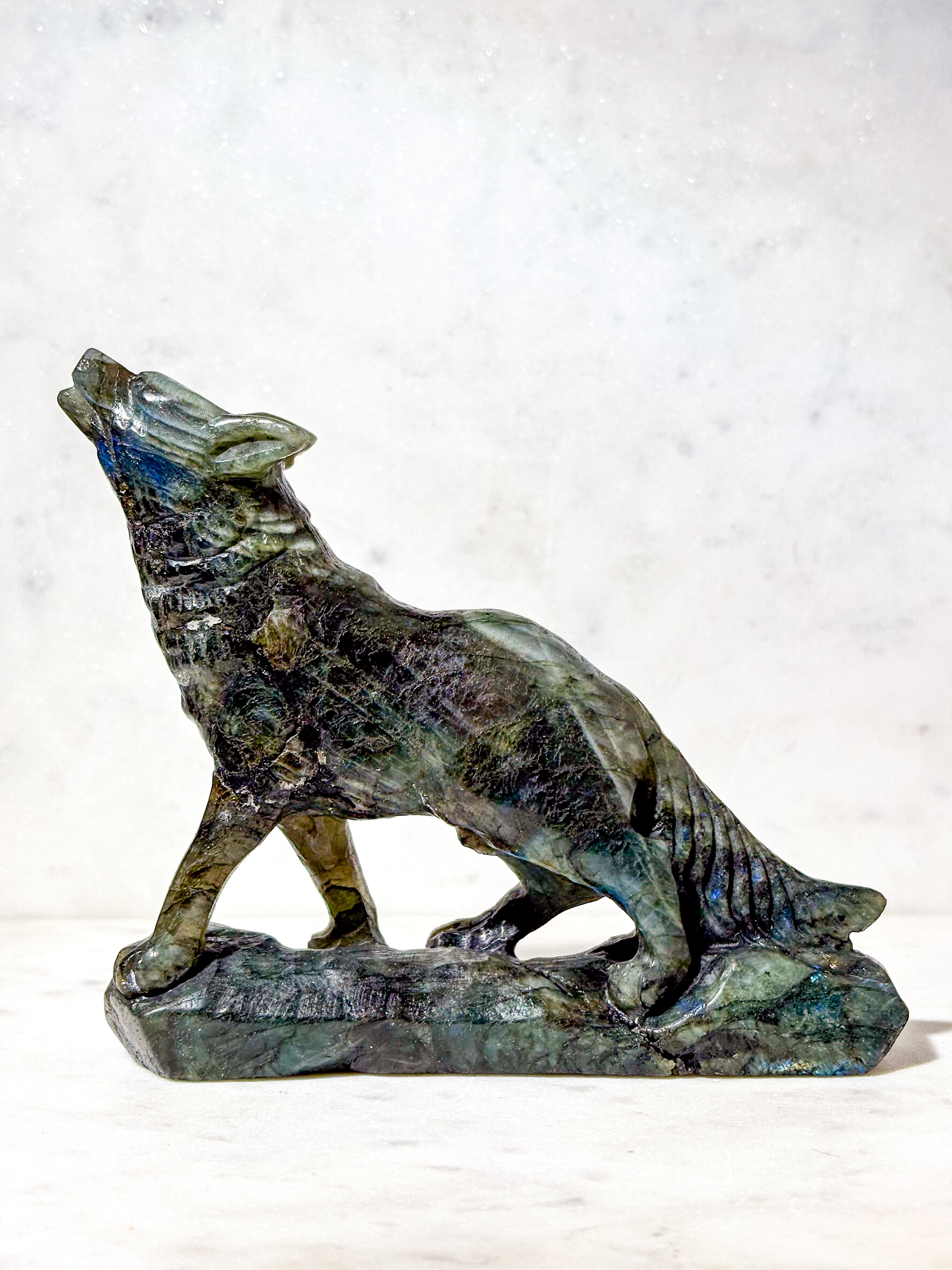 Labradorit Ulv (Nr. 6)