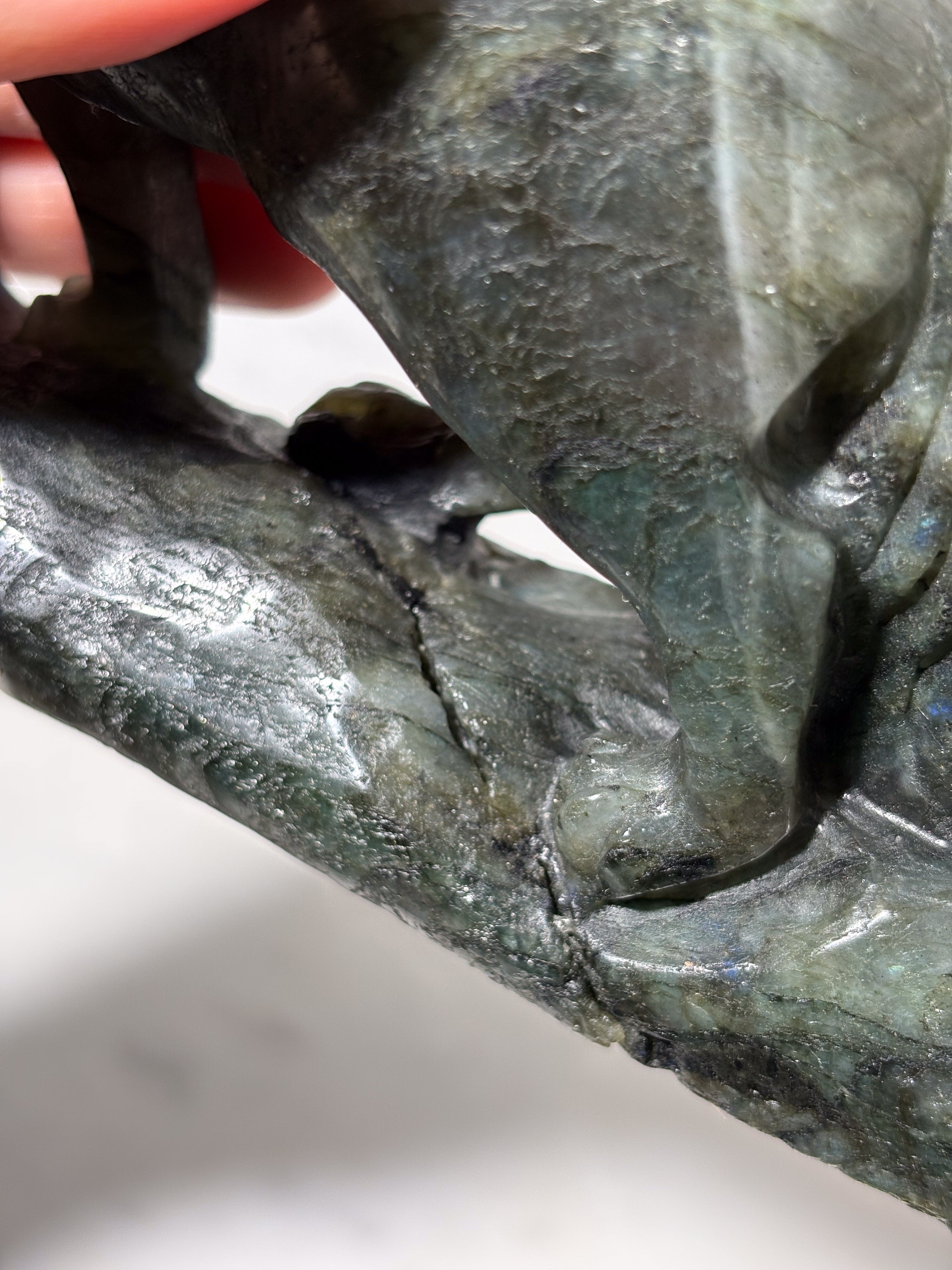 Labradorit Ulv (Nr. 6)