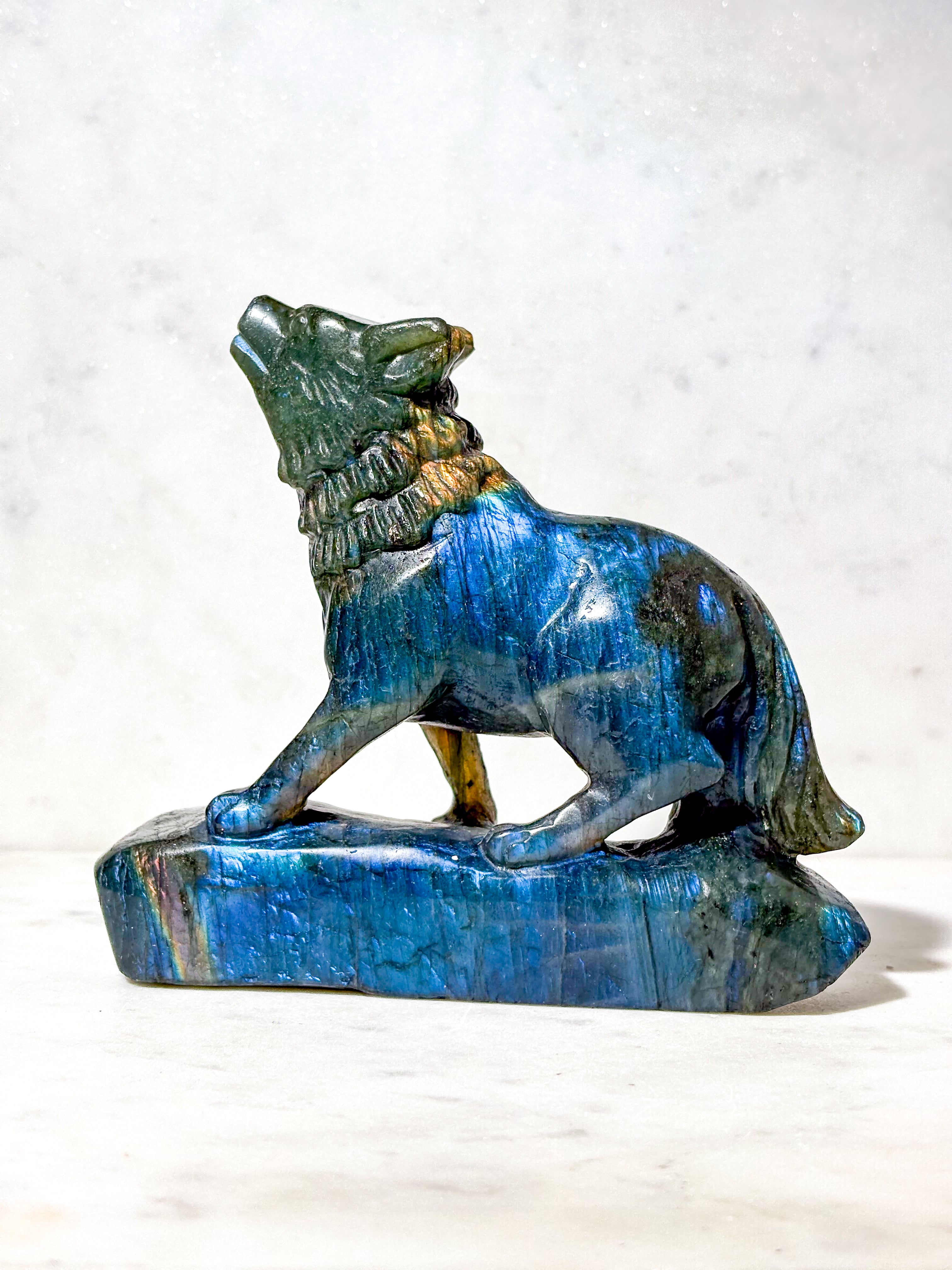 Labradorit Ulv (Nr. 8)