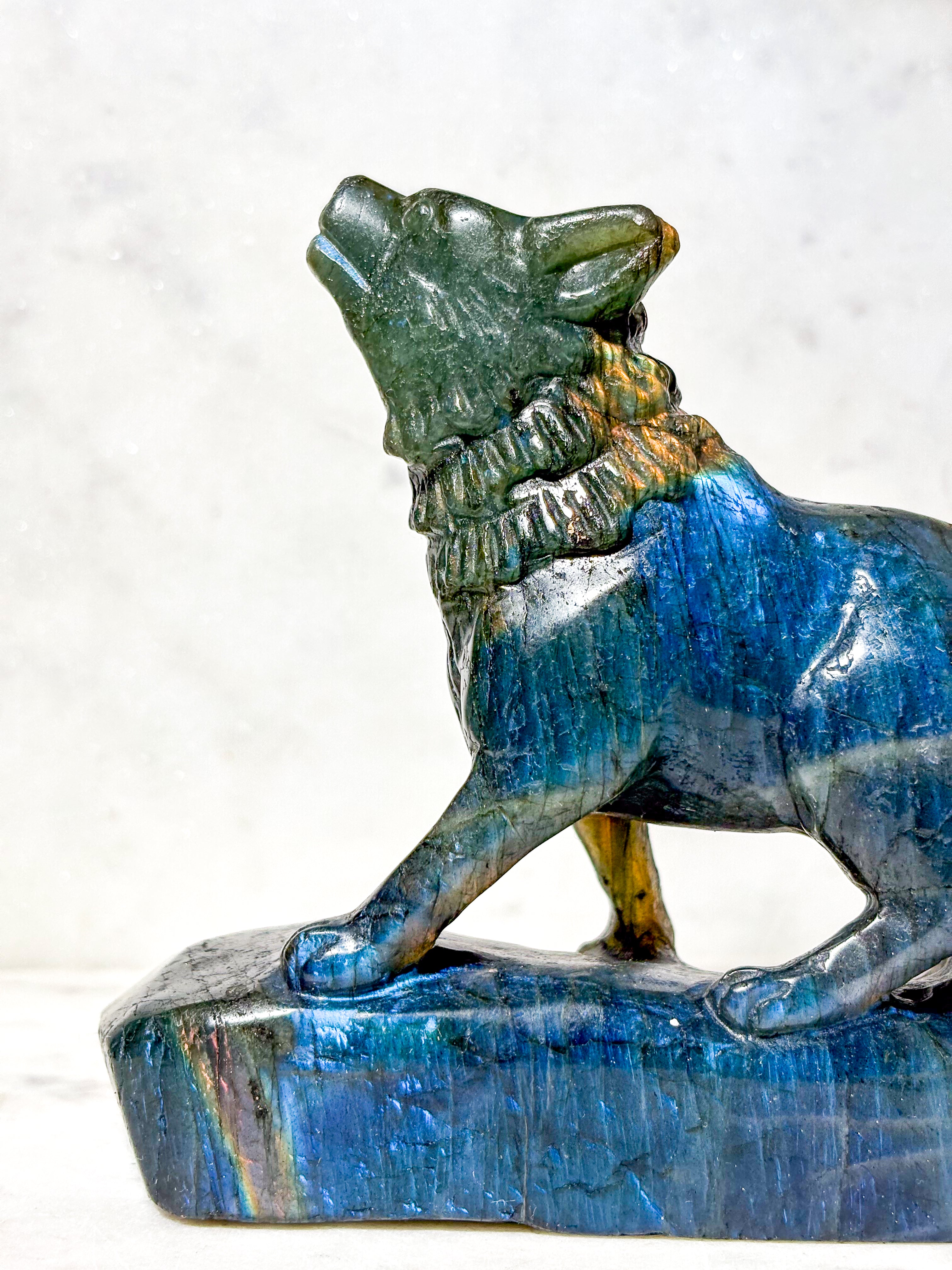 Labradorit Ulv (Nr. 8)