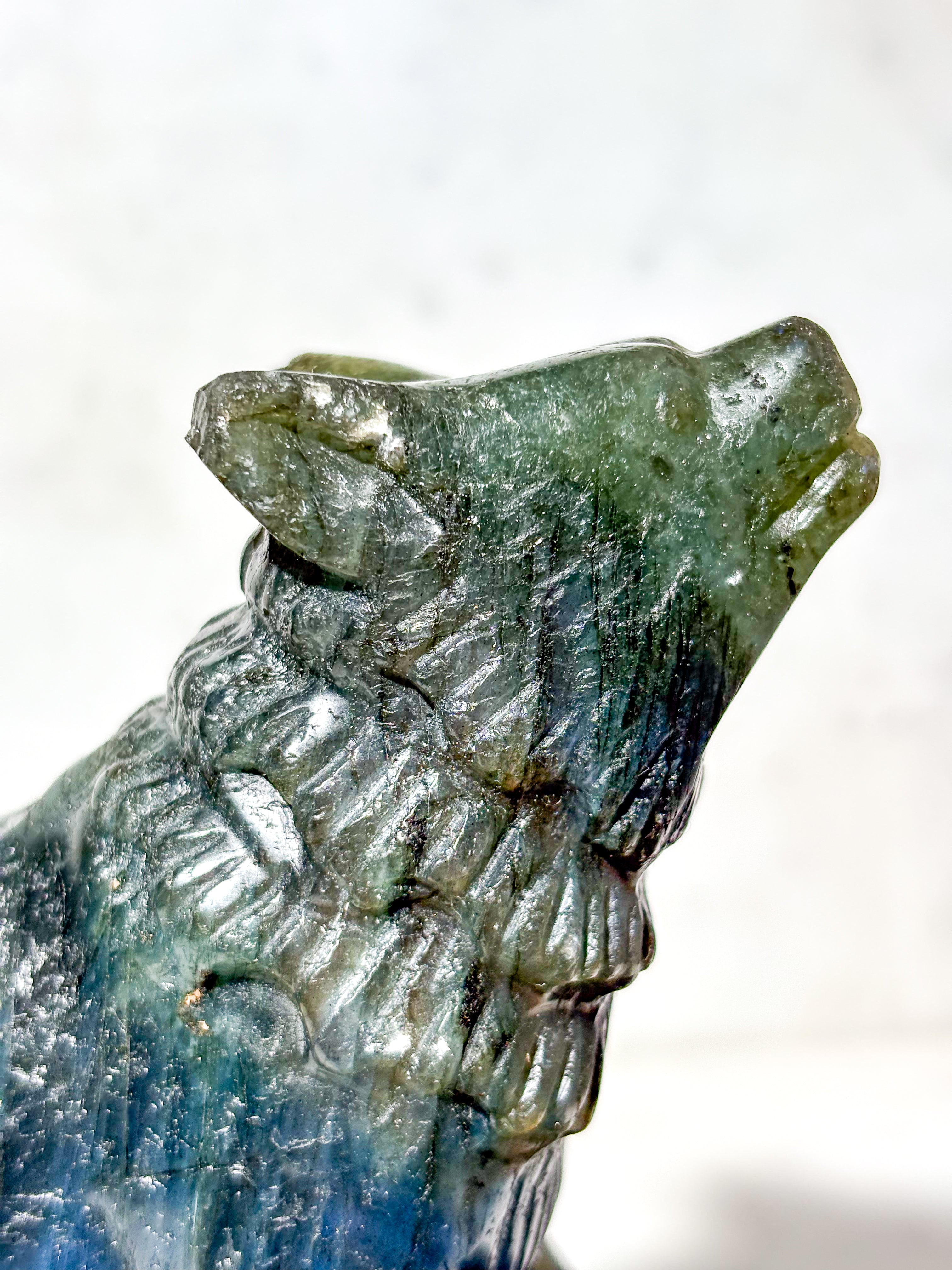 Labradorit Ulv (Nr. 8)