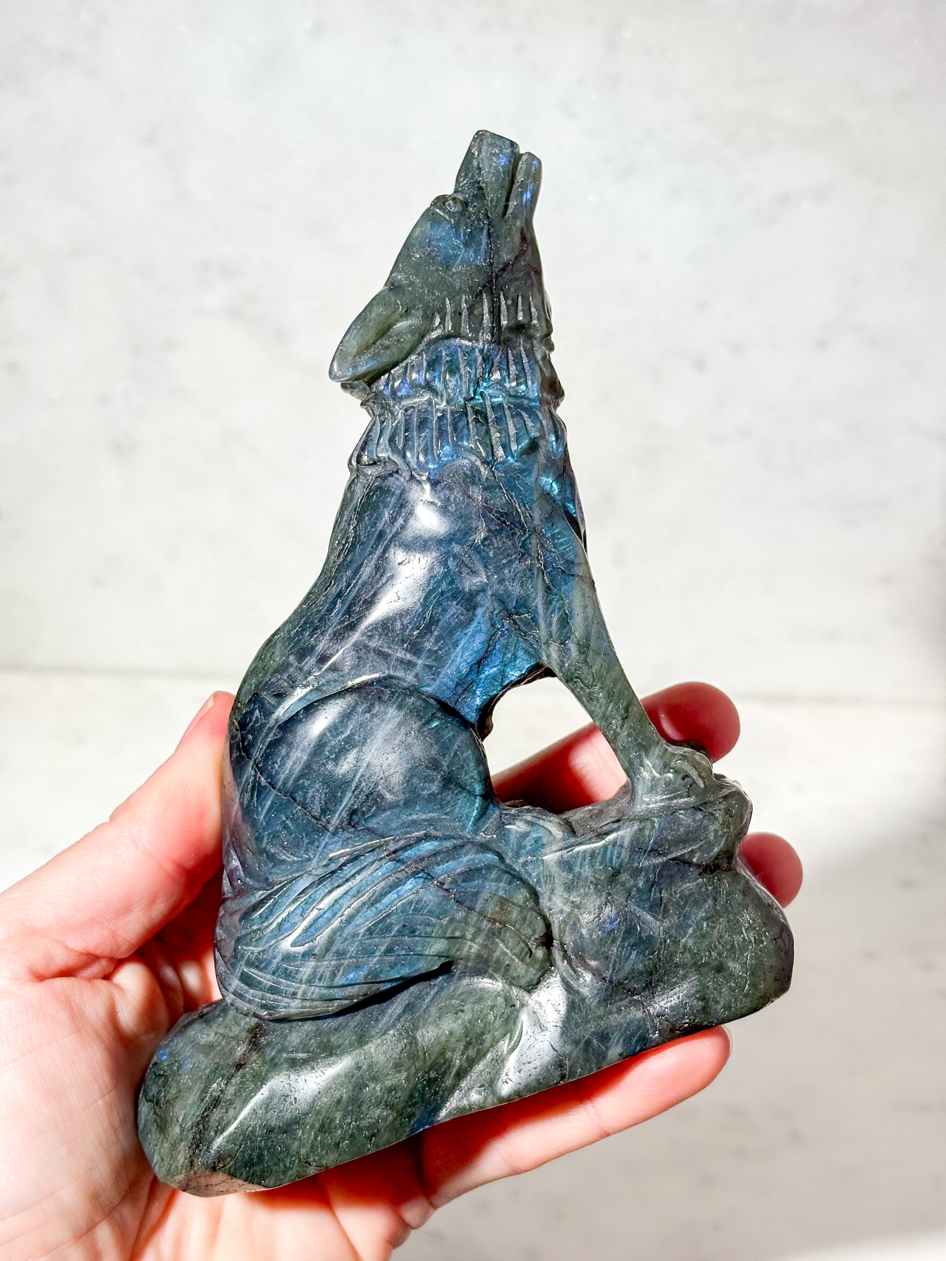 Labradorit Ulv (Nr. 9)