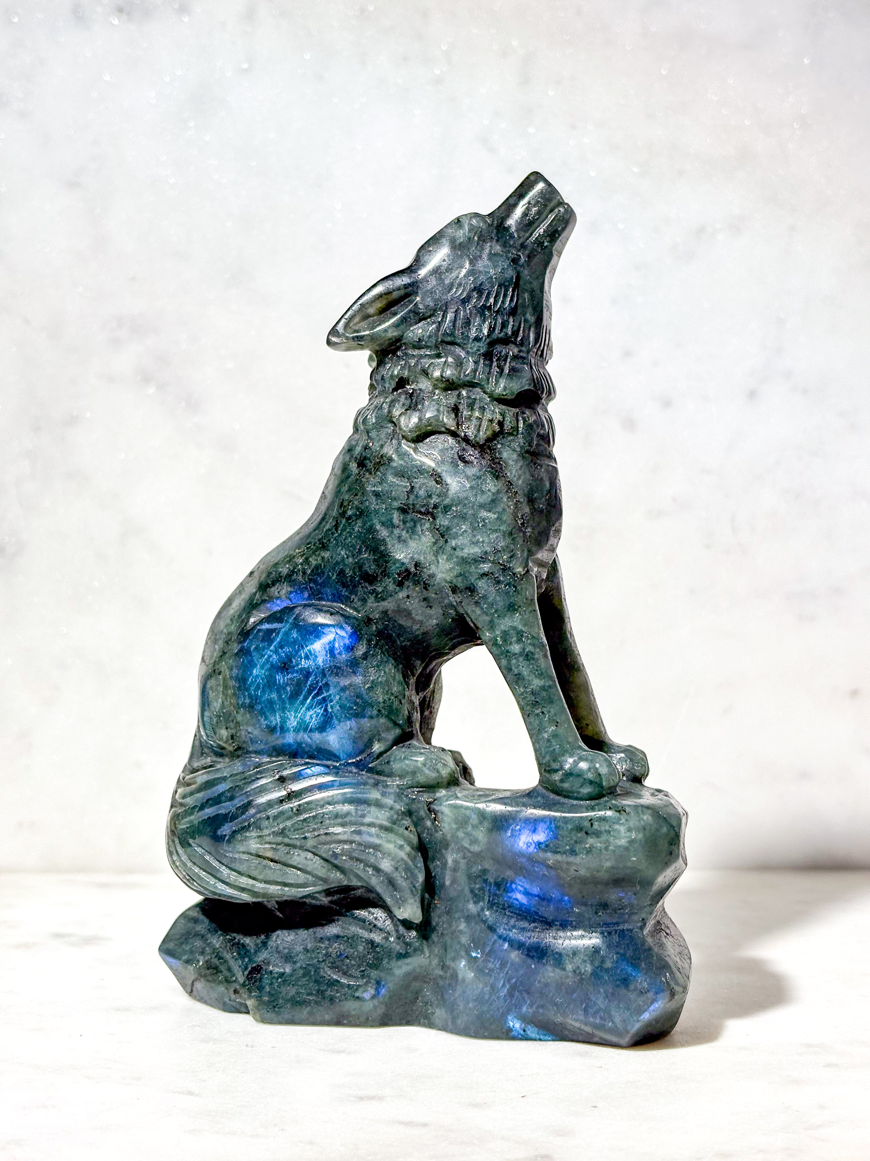 Labradorit Ulv (Nr. 10)