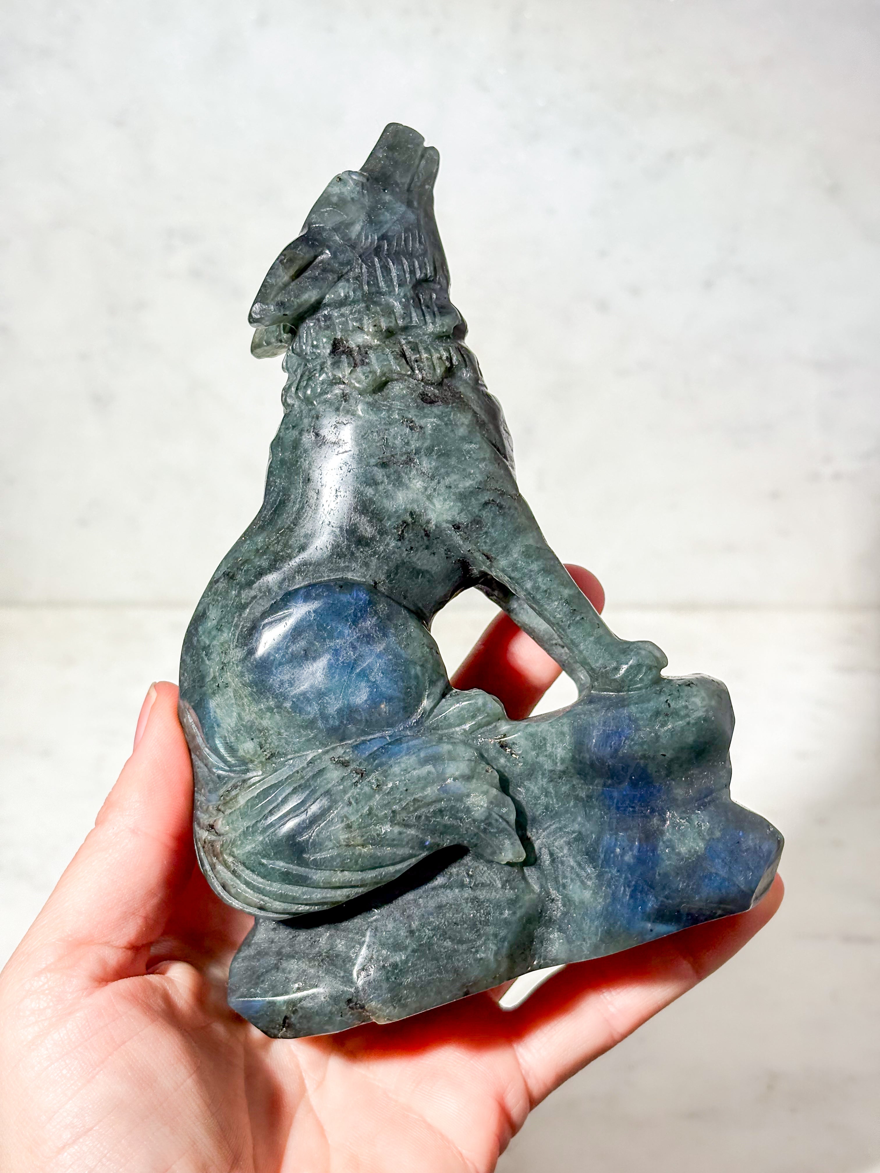 Labradorit Ulv (Nr. 10)