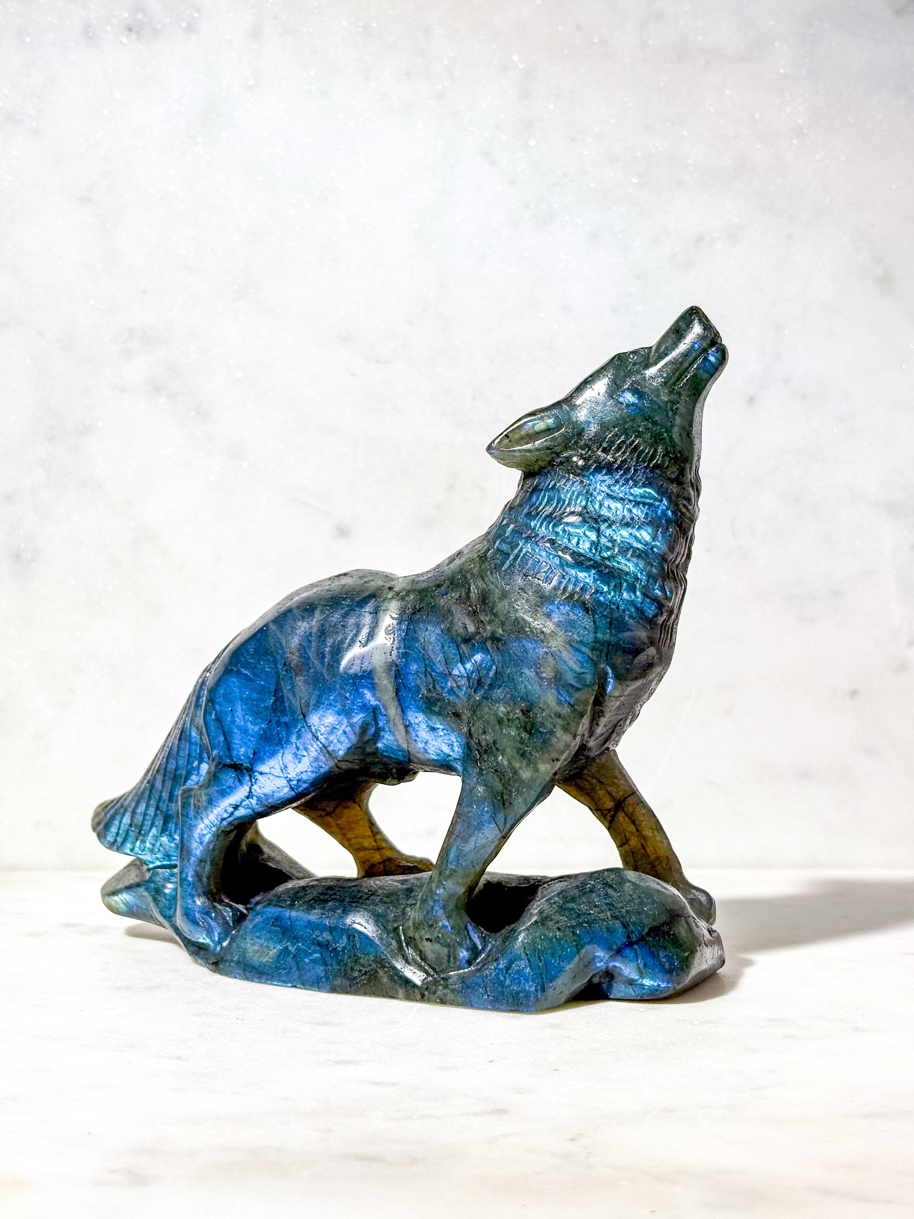 Labradorit Ulv (Nr. 11)